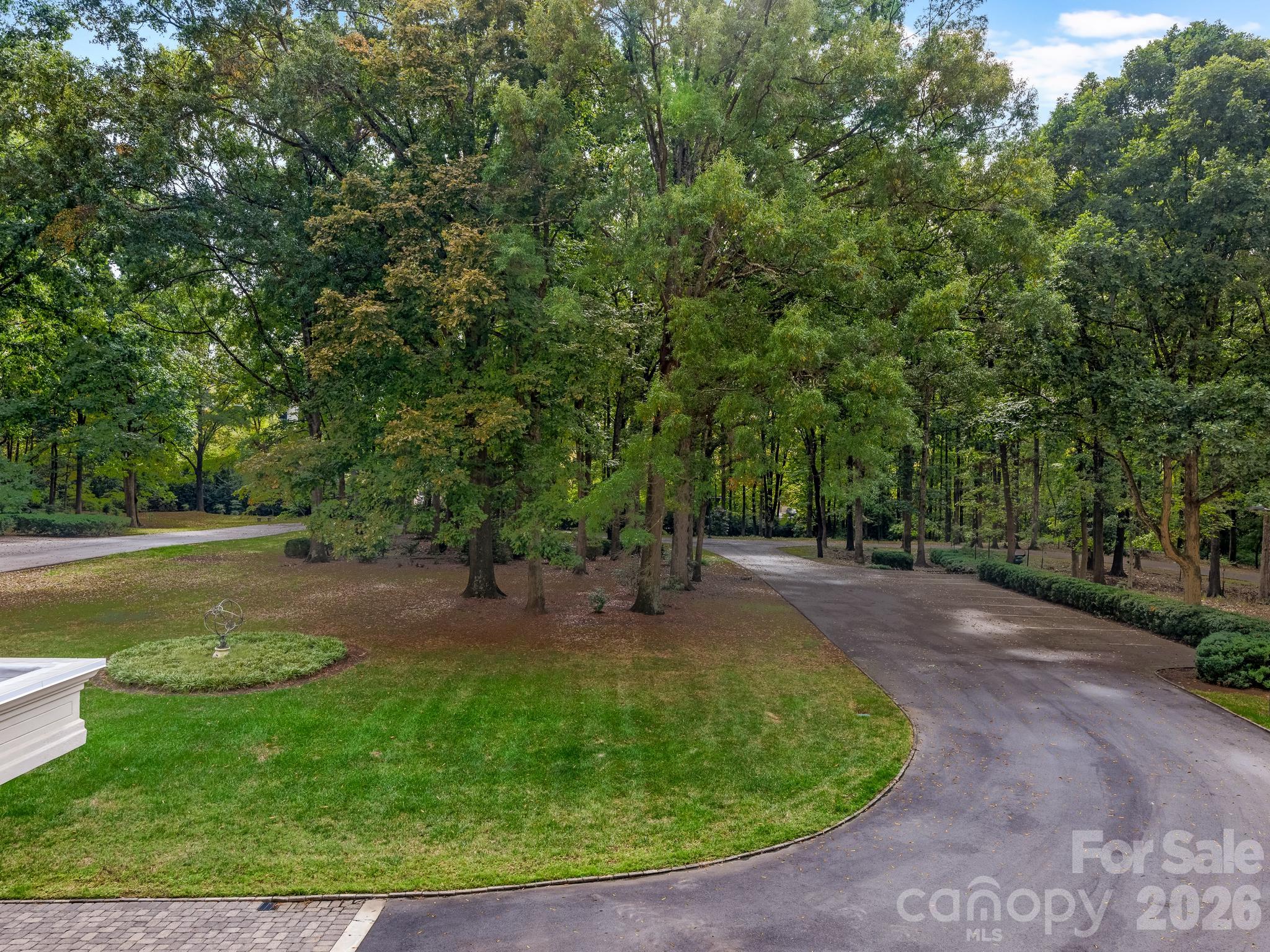 Tree Top View overlooking front yard from Balcony - 2633 Richardson Drive, Charlotte