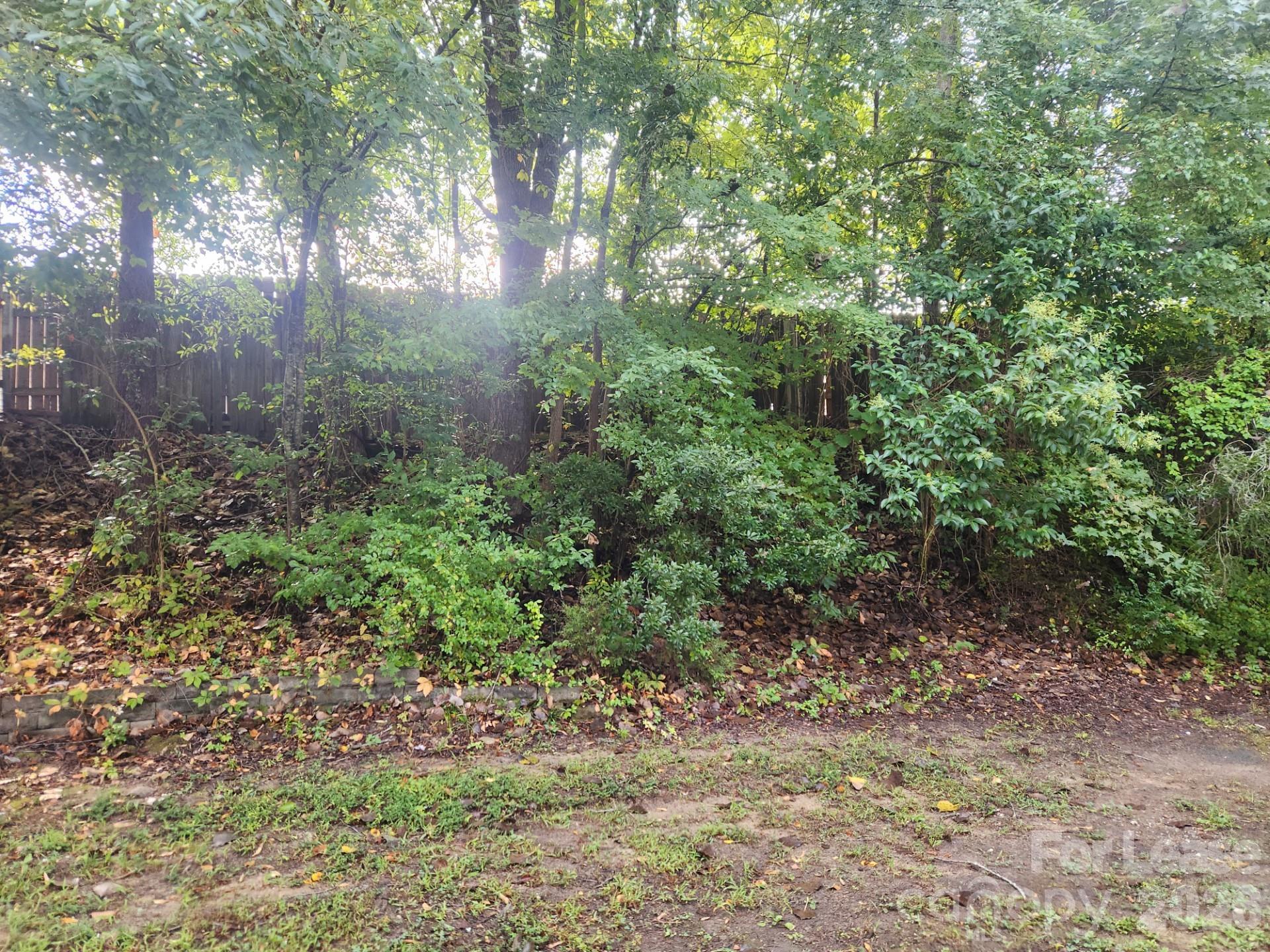 View from Back Patio - 163 Pounds Avenue, Concord