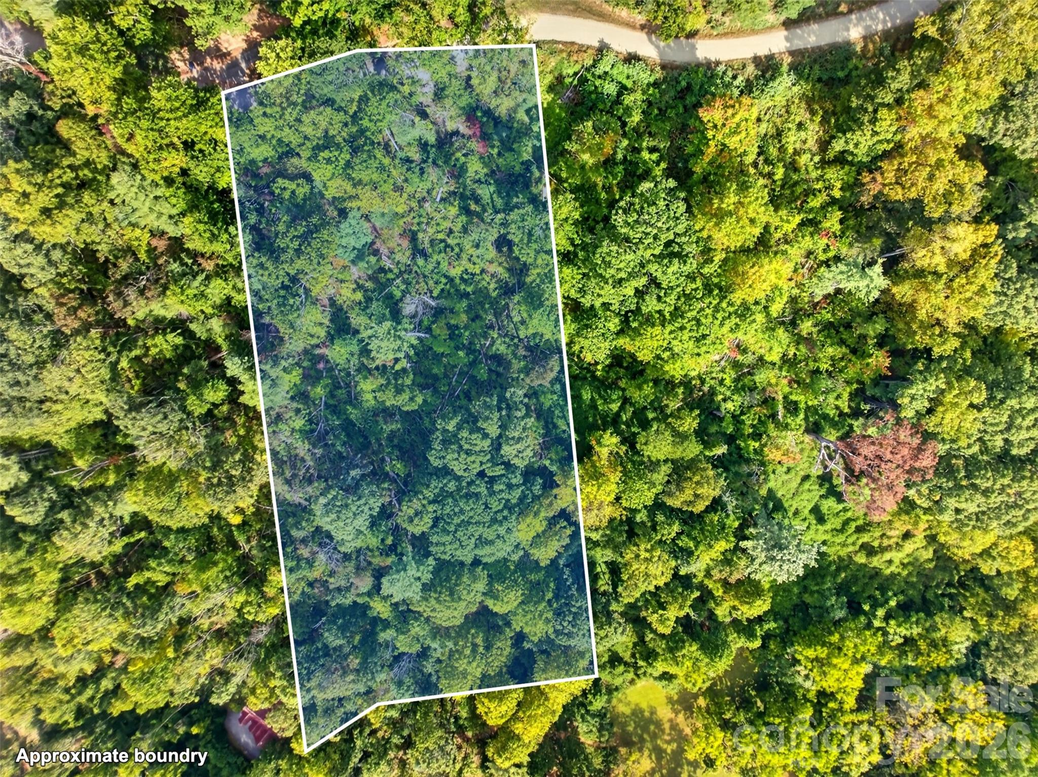 Acreage at 99999 Vance Gap Road, Asheville, photo 6 of 19