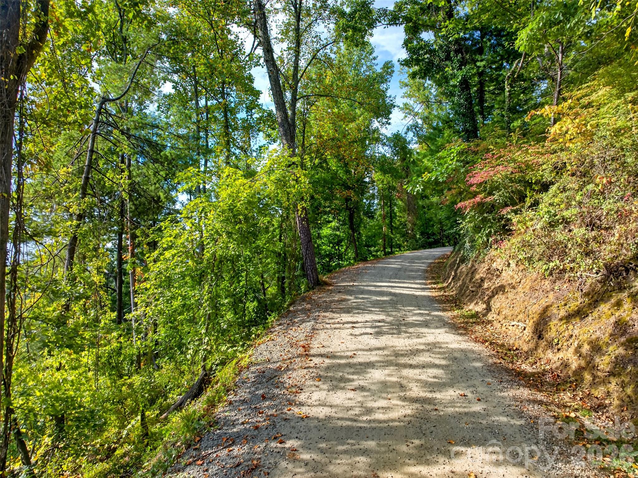 Acreage at 99999 Vance Gap Road, Asheville, photo 10 of 19