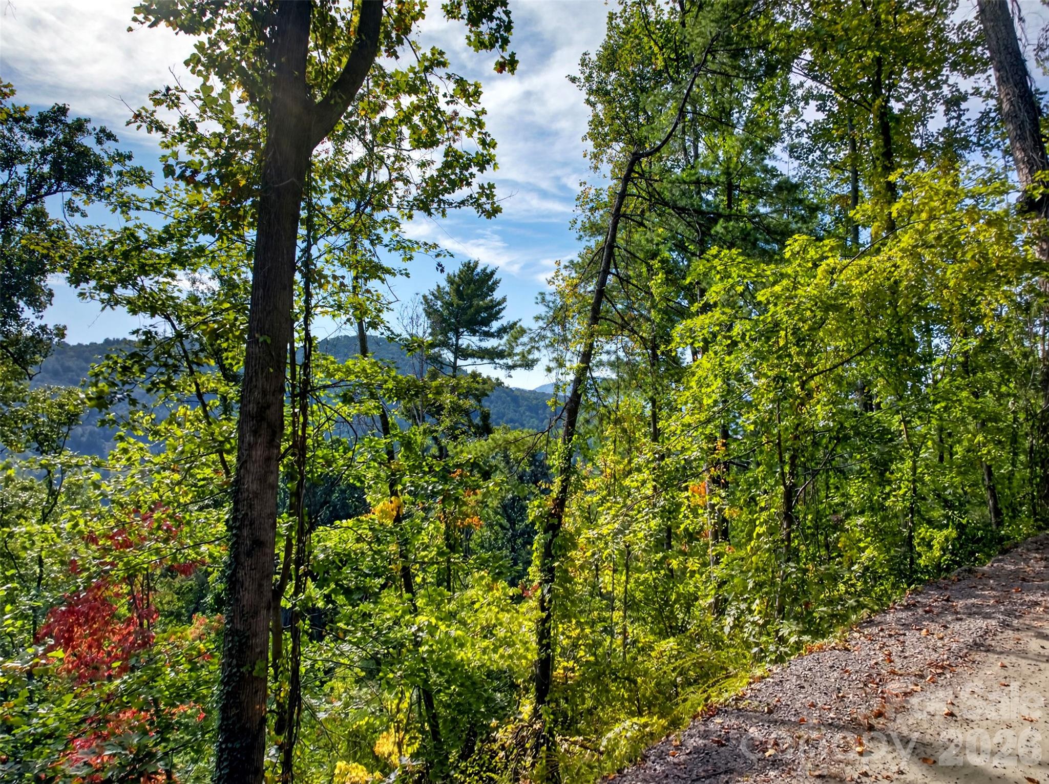 Acreage at 99999 Vance Gap Road, Asheville, photo 11 of 19