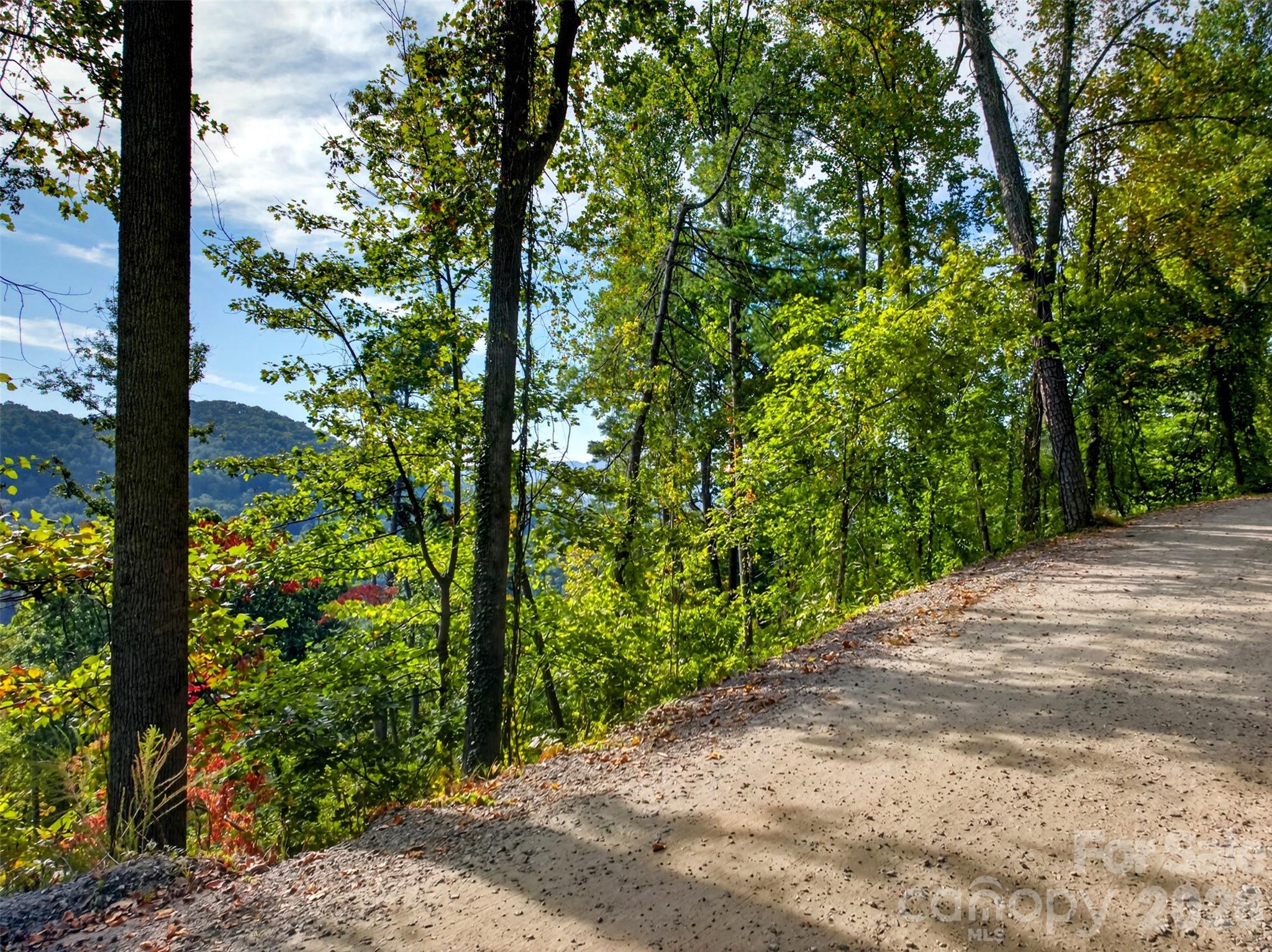 Acreage at 99999 Vance Gap Road, Asheville, photo 13 of 19