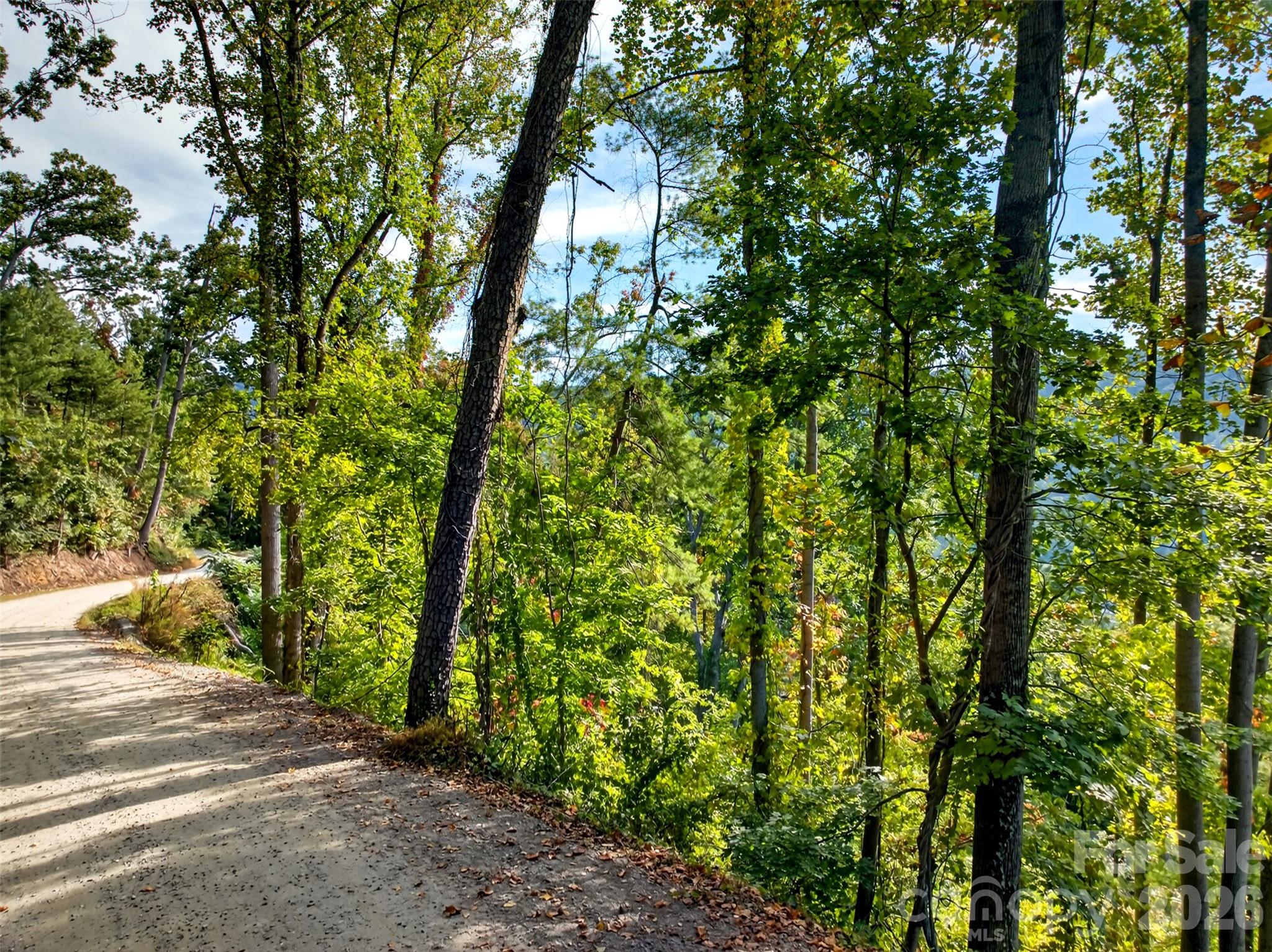 Acreage at 99999 Vance Gap Road, Asheville, photo 14 of 19