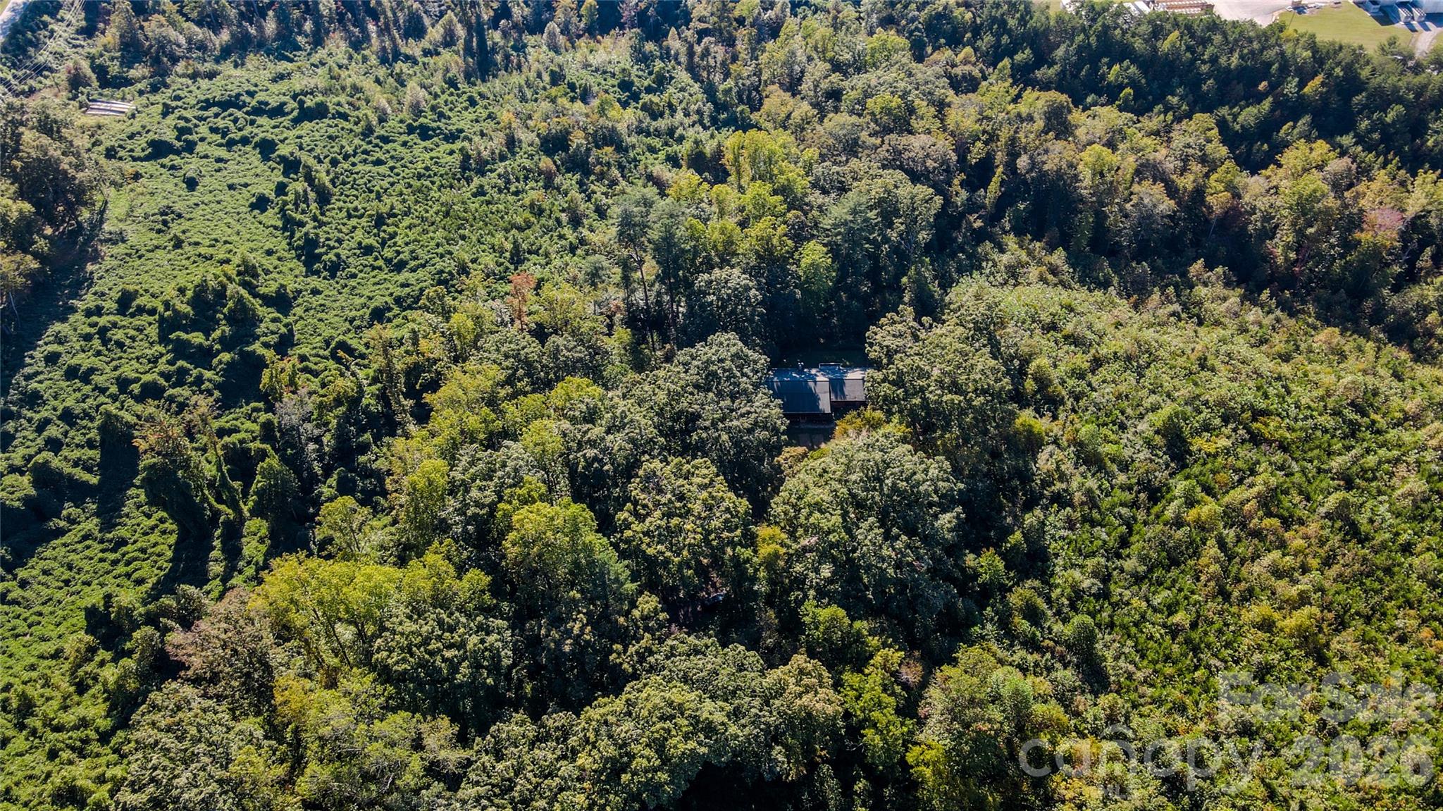 maximum privacy - 3576 Julian Welborn Drive, Morganton