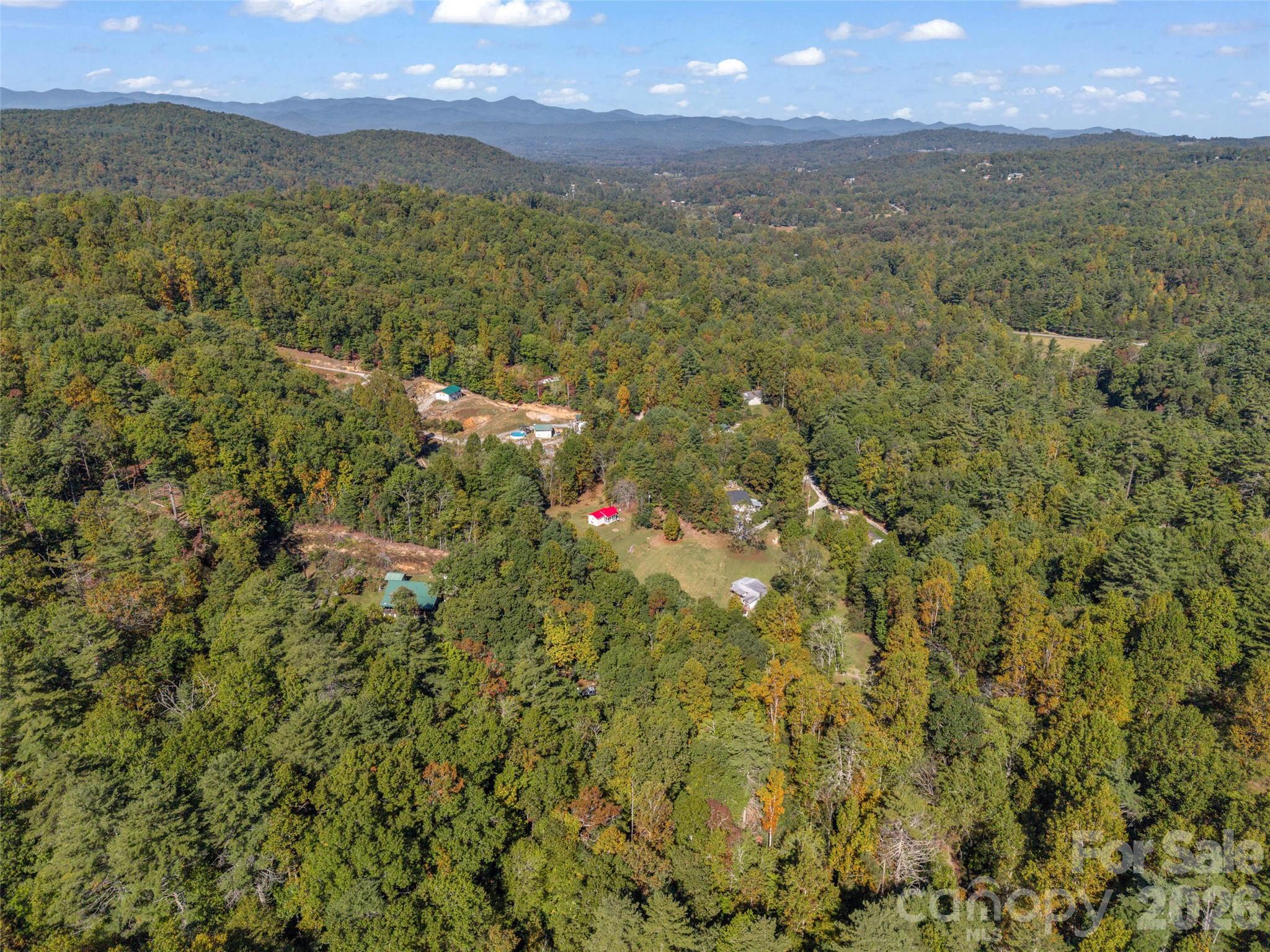 Single Family Residence at 468 Willow Springs Cove, Hendersonville, photo 36 of 43