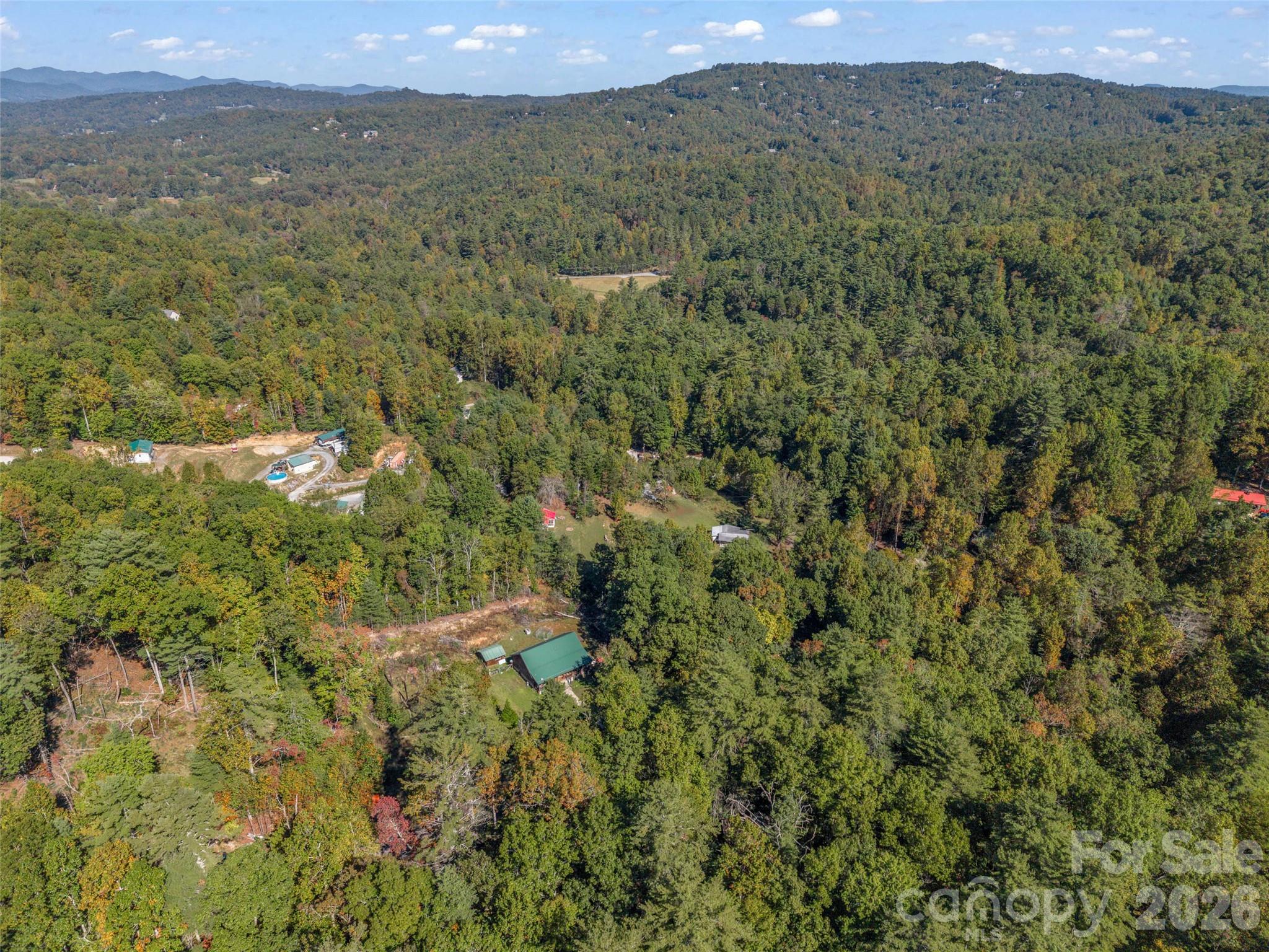 Single Family Residence at 468 Willow Springs Cove, Hendersonville, photo 37 of 43