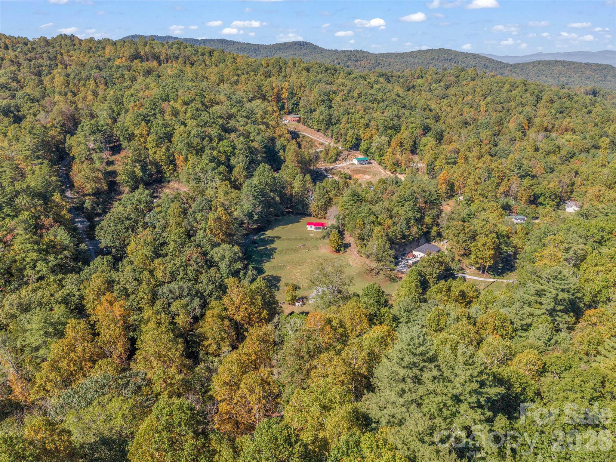 Single Family Residence at 468 Willow Springs Cove, Hendersonville, photo 42 of 43