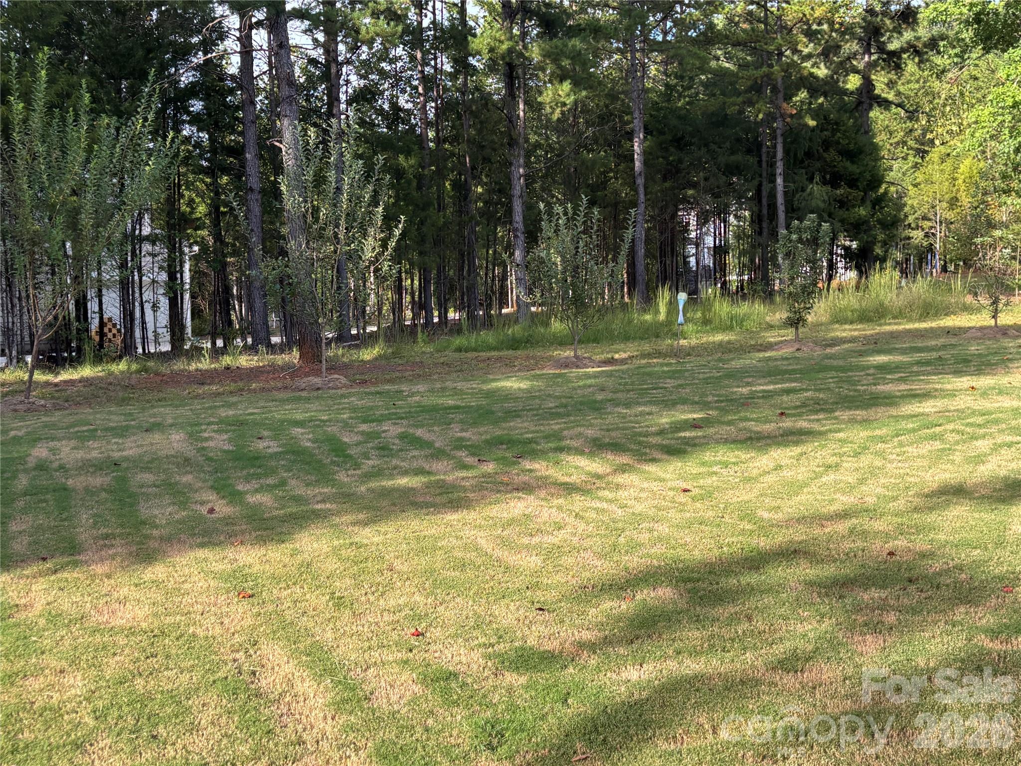 Single Family Residence at 11202 Dappled Light Trail, Mint Hill, photo 41 of 48
