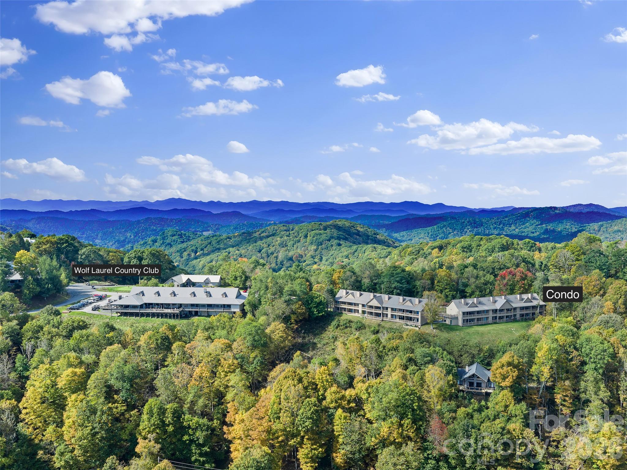 Steps away from Wolf Laurel Country Club and Golf Course - 2521 Wolf Laurel Road, Mars Hill