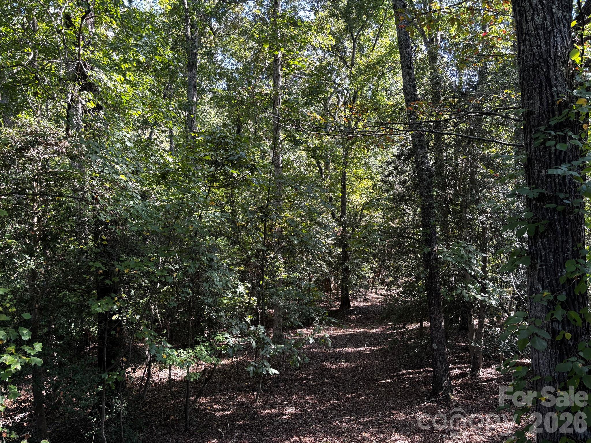 Direct access to the much coveted CETA trail system which also connects to the FETA trail system. Both require membership. - 600 John Weaver Road, Columbus