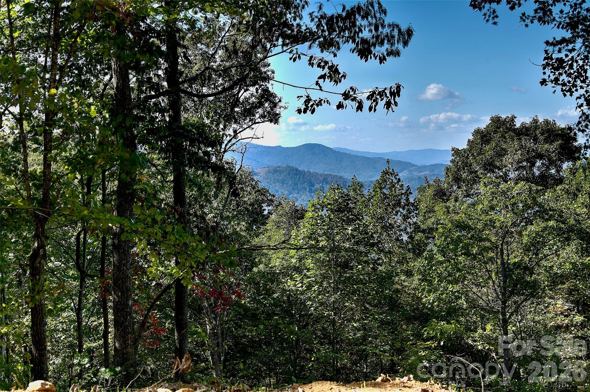 Acreage at 00 Arrowhead Ridge Road, Spruce Pine, photo 6 of 17