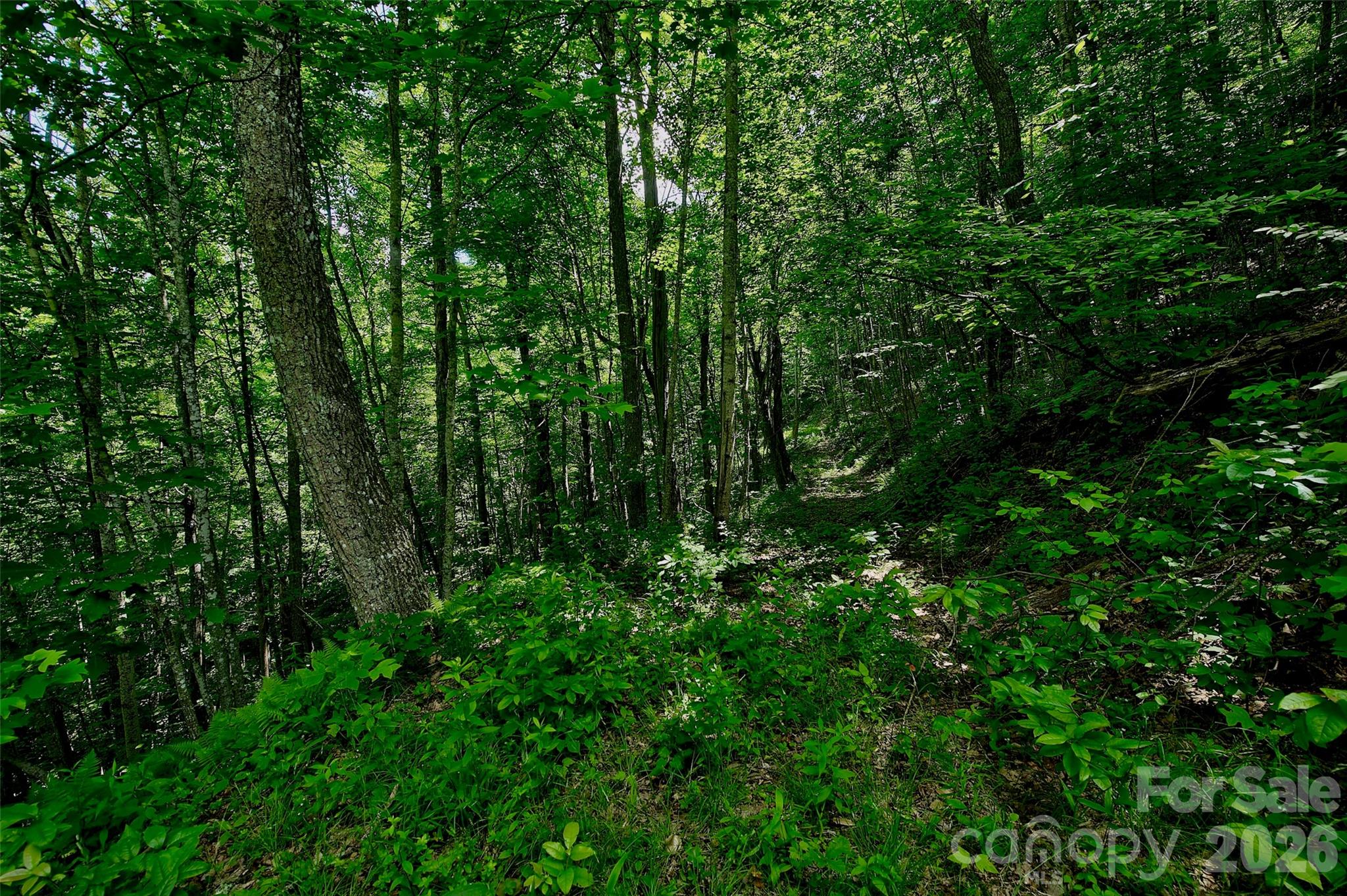 Acreage at 00 Arrowhead Ridge Road, Spruce Pine, photo 12 of 17