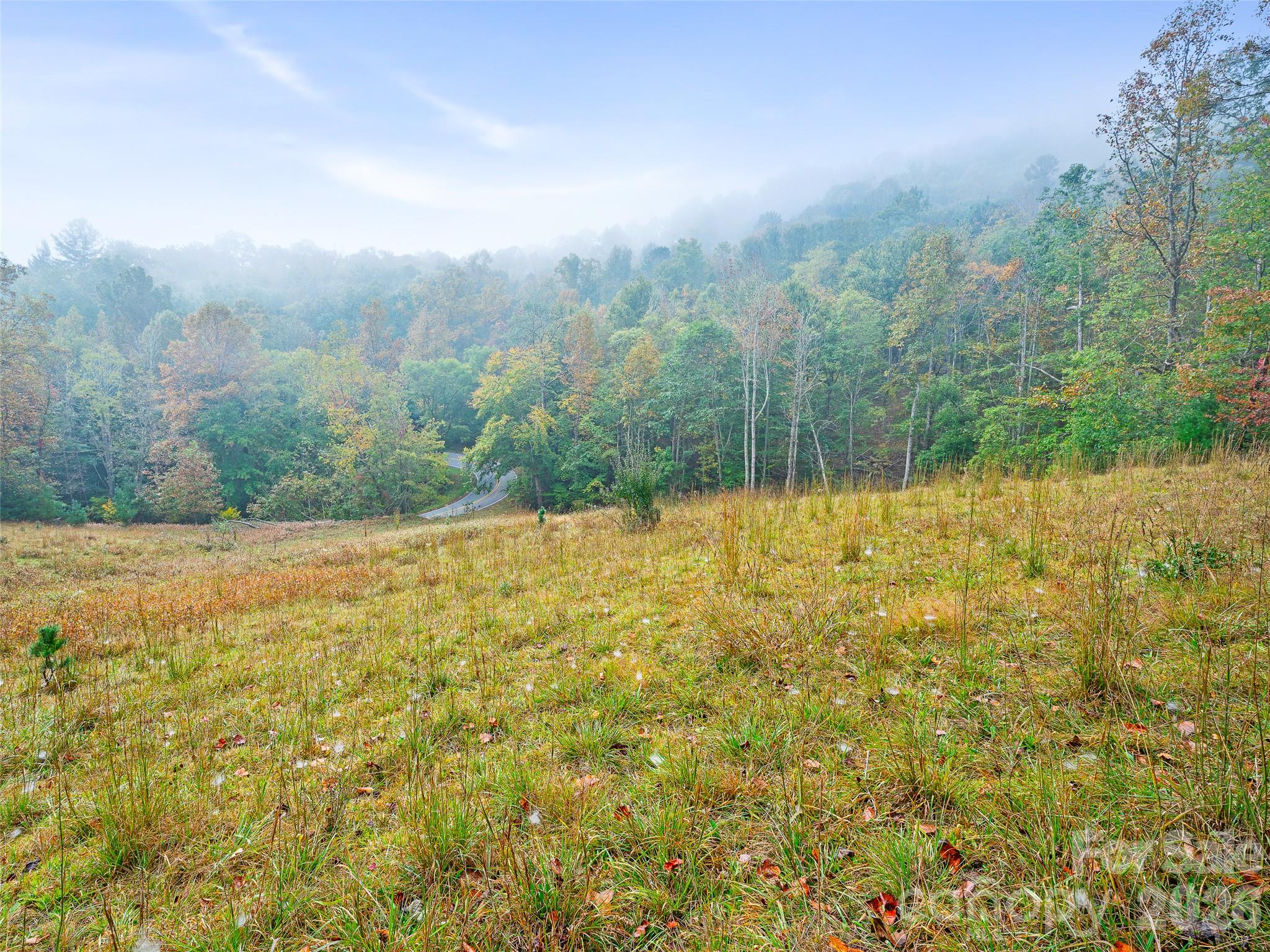 Acreage at 000 Double Island Road, Burnsville, photo 5 of 39