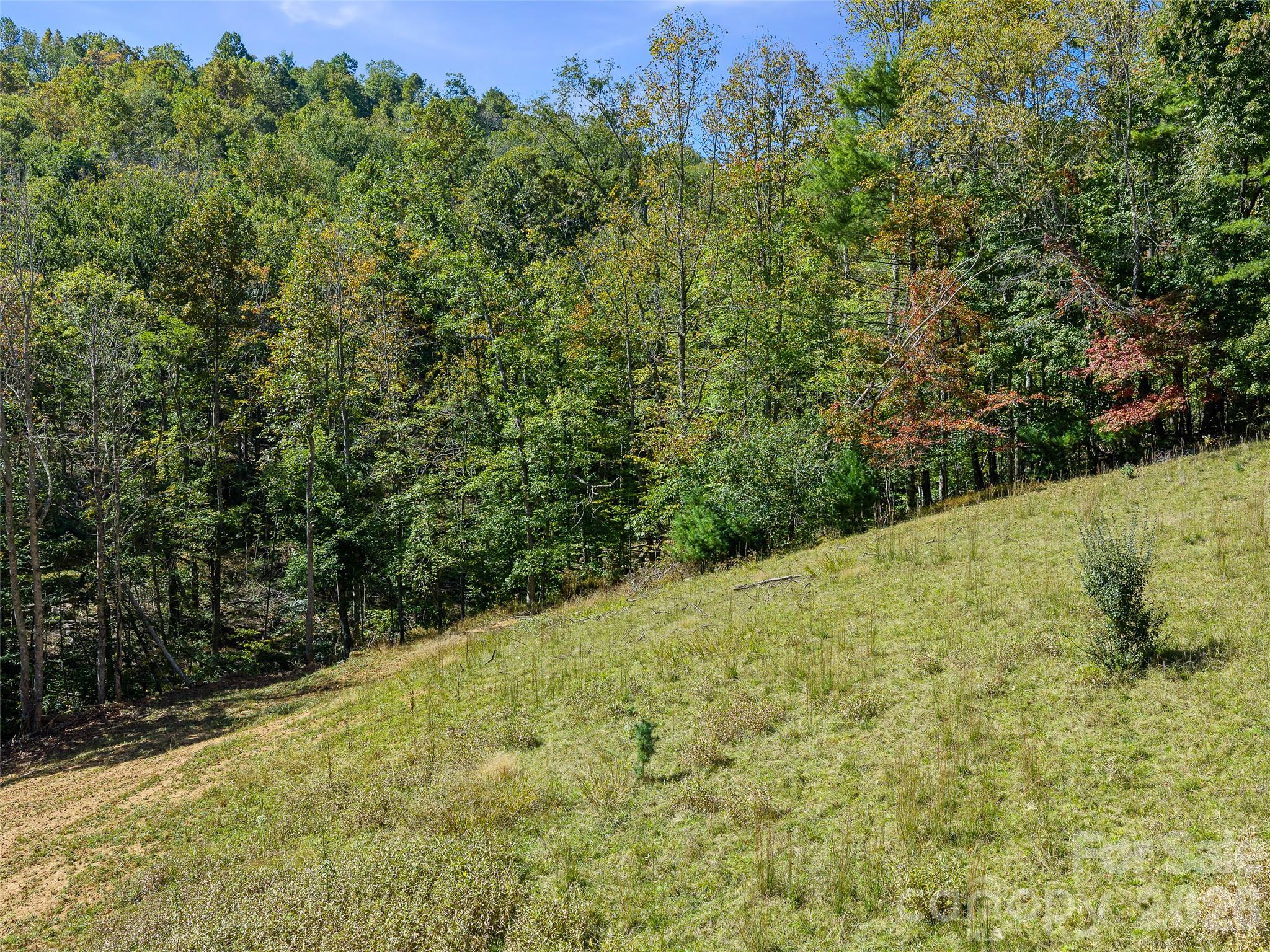 Acreage at 000 Double Island Road, Burnsville, photo 11 of 39