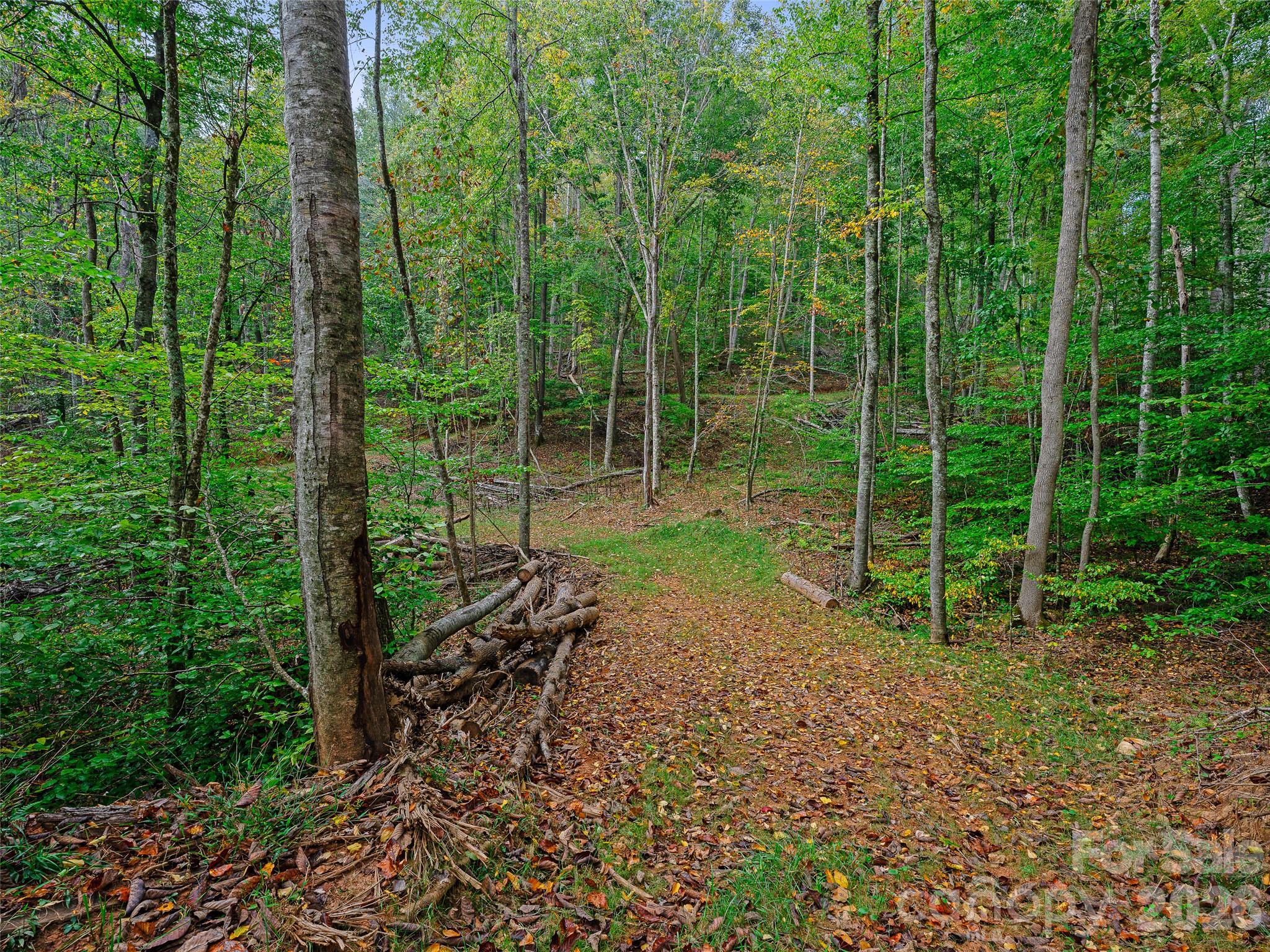 Acreage at 000 Double Island Road, Burnsville, photo 13 of 39