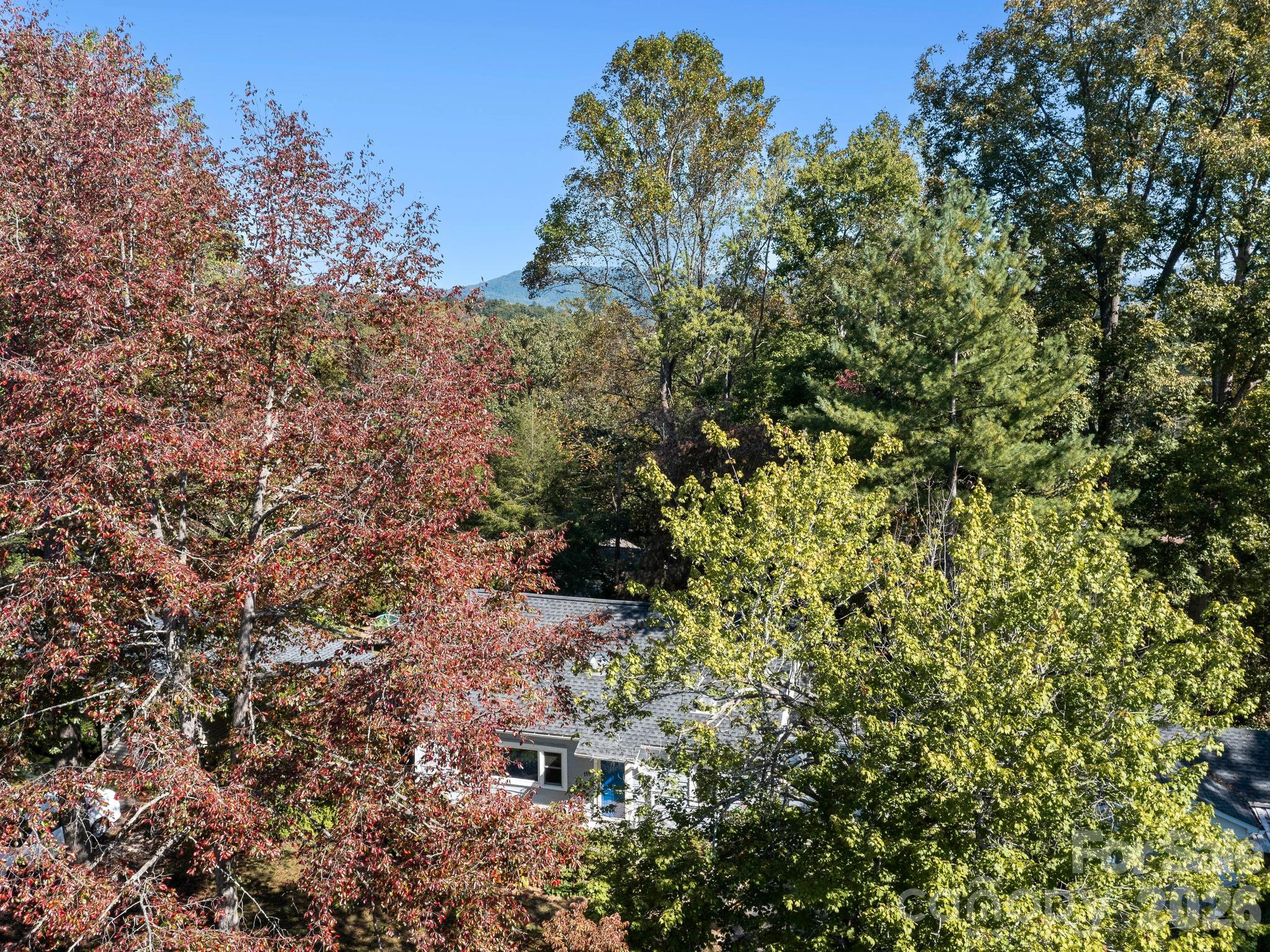 tucked away - 119 Briarwood Lane, Hendersonville