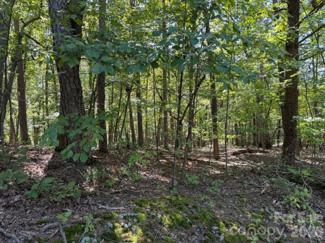 00 Washington Ridge Road