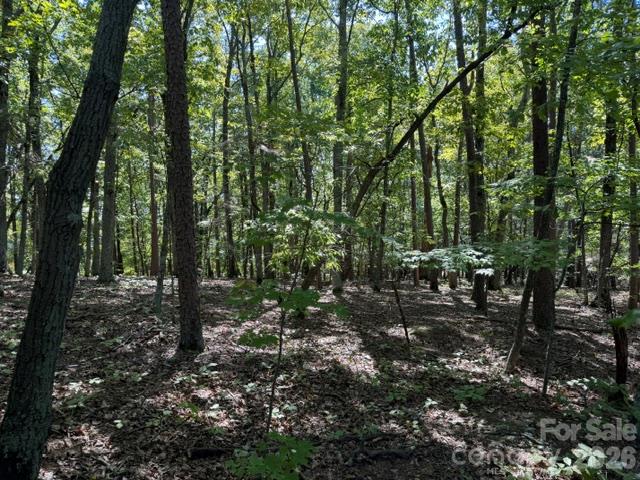 Lot at 00 Washington Ridge Road, Statesville, photo 3 of 6