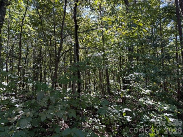 Lot at 00 Washington Ridge Road, Statesville, photo 6 of 6