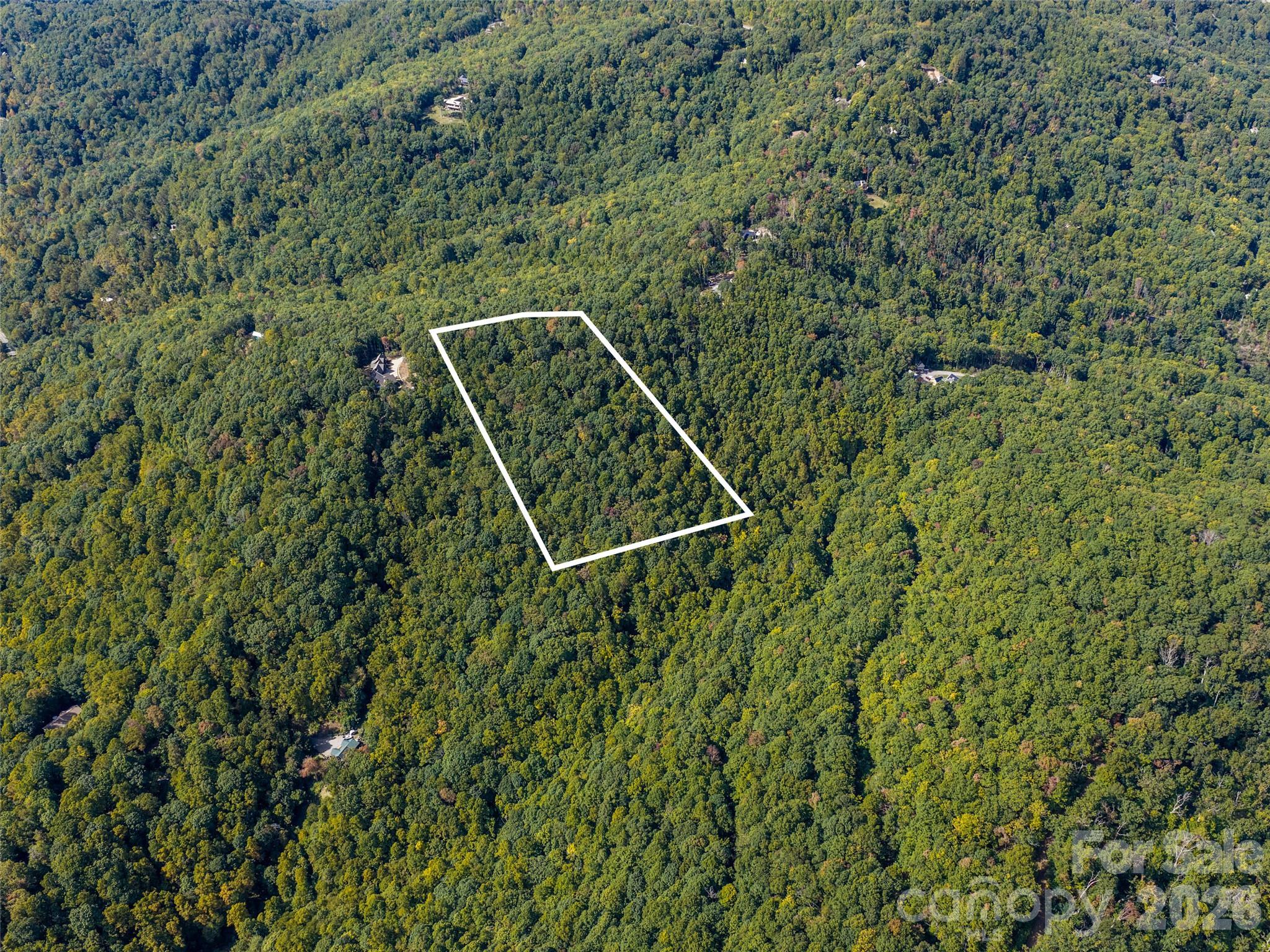Lot at TBD Orange Plum Lane, Asheville, photo 8 of 25