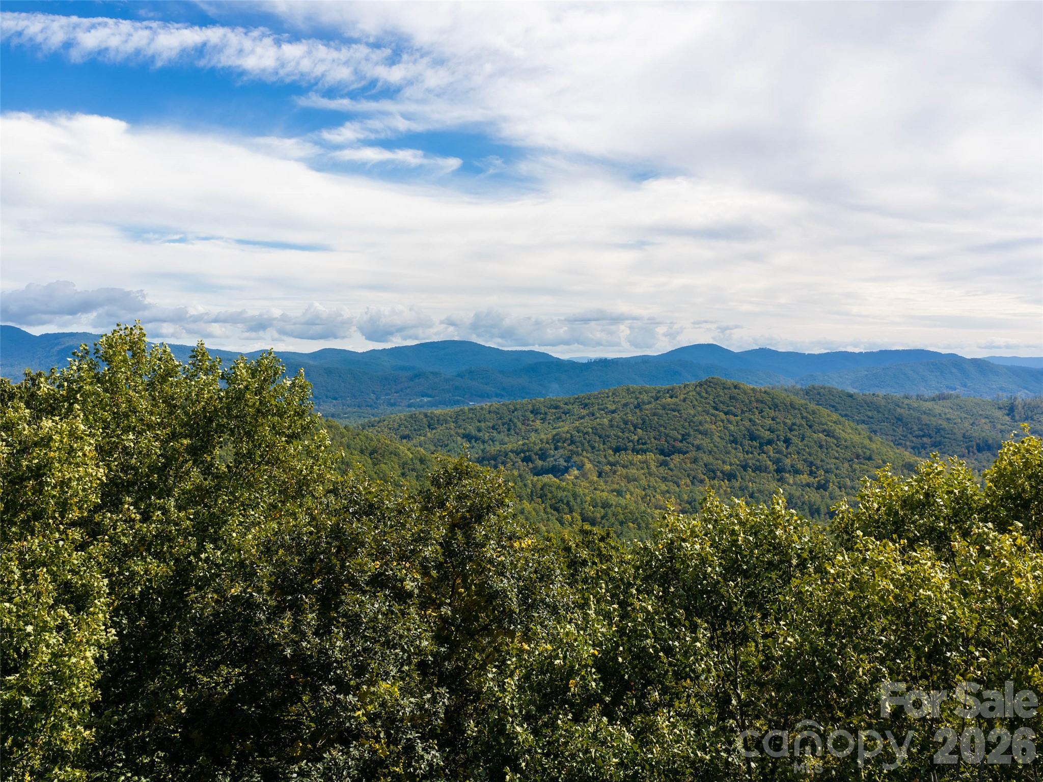 Lot at TBD Orange Plum Lane, Asheville, photo 11 of 25