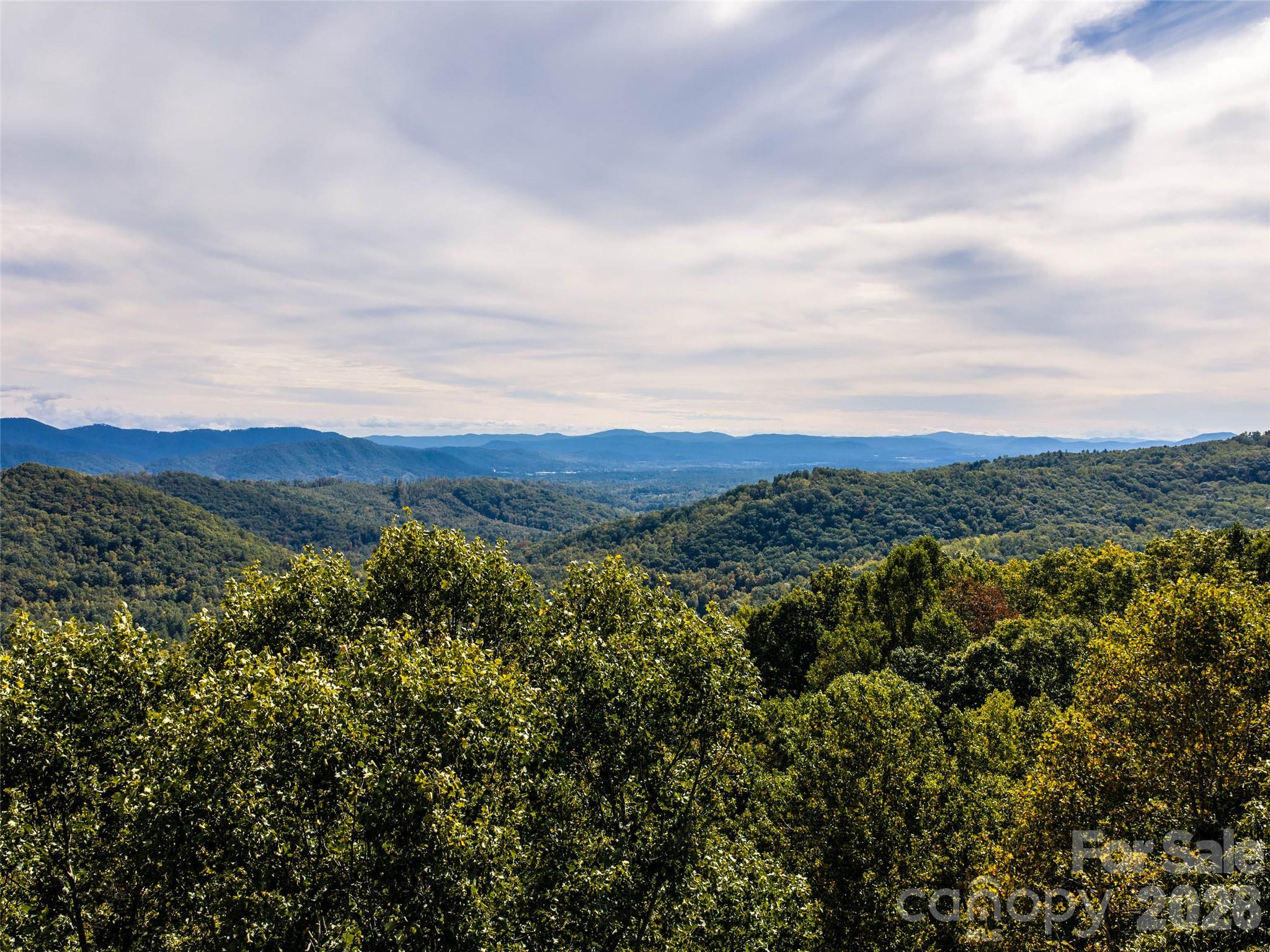 Lot at TBD Orange Plum Lane, Asheville, photo 12 of 25