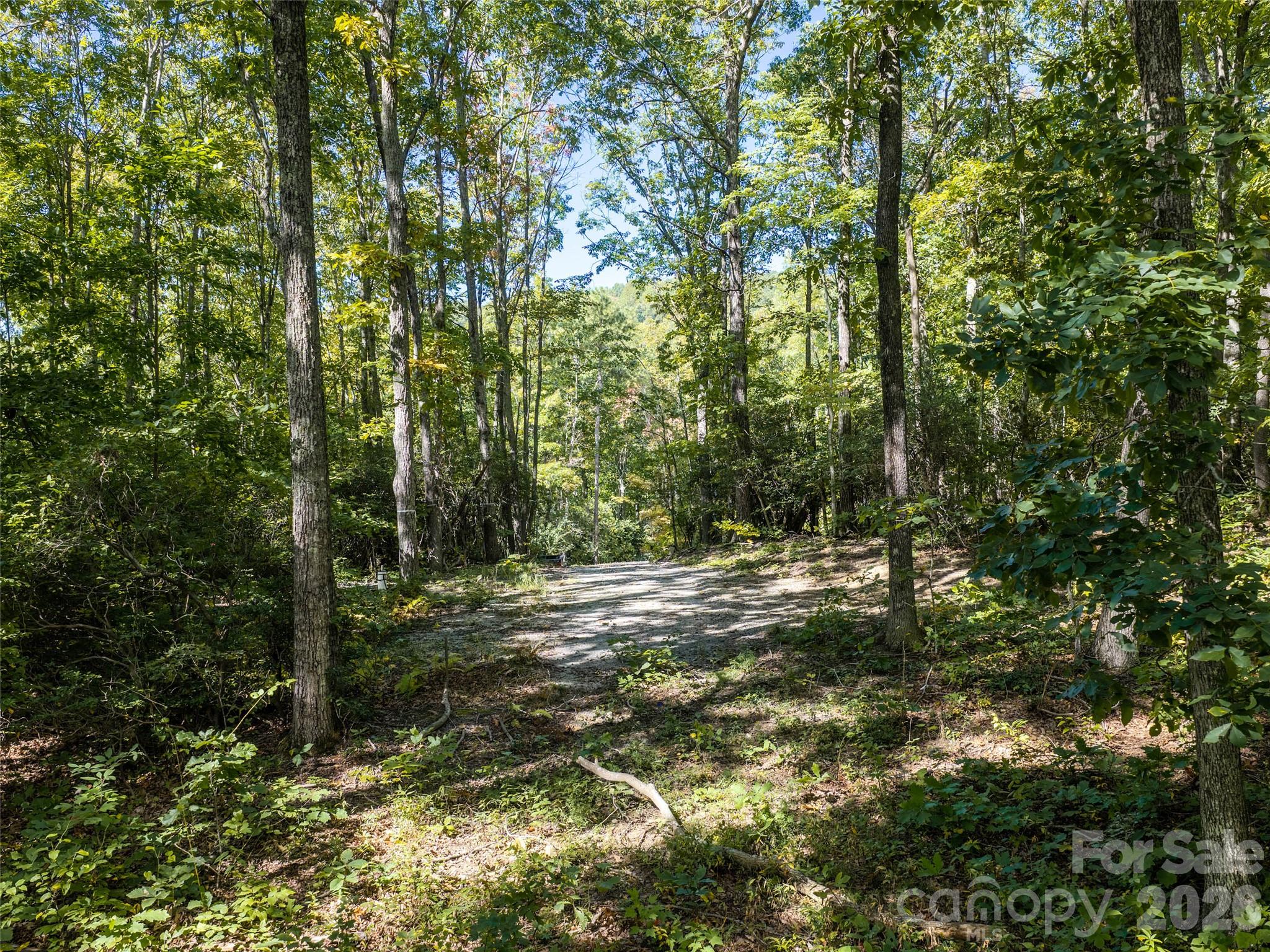 Lot at TBD Orange Plum Lane, Asheville, photo 5 of 25