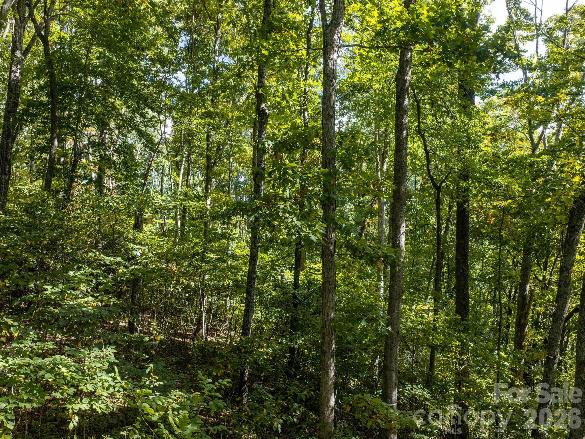 Lot at TBD Orange Plum Lane, Asheville, photo 14 of 25