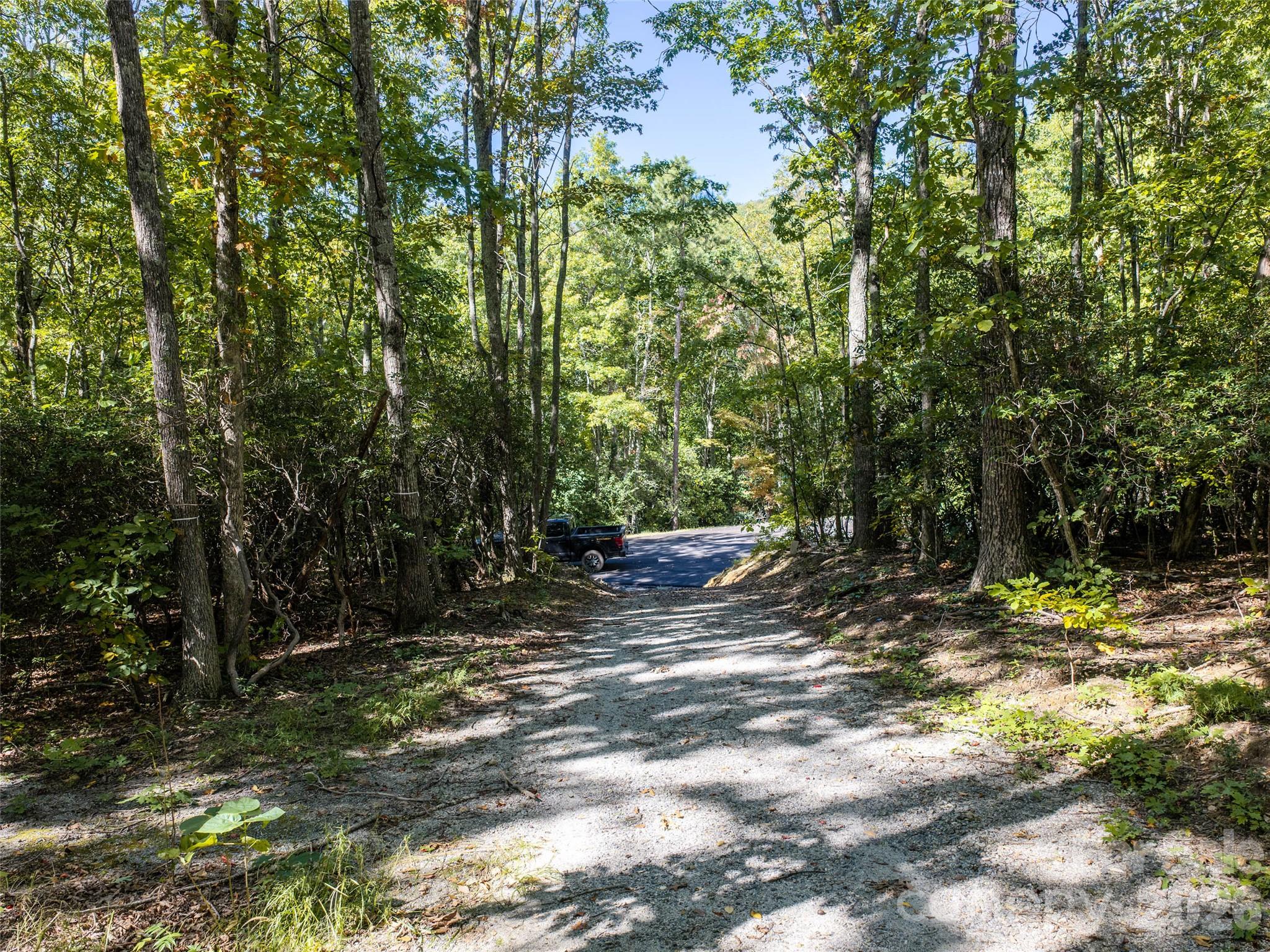 Lot at TBD Orange Plum Lane, Asheville, photo 15 of 25