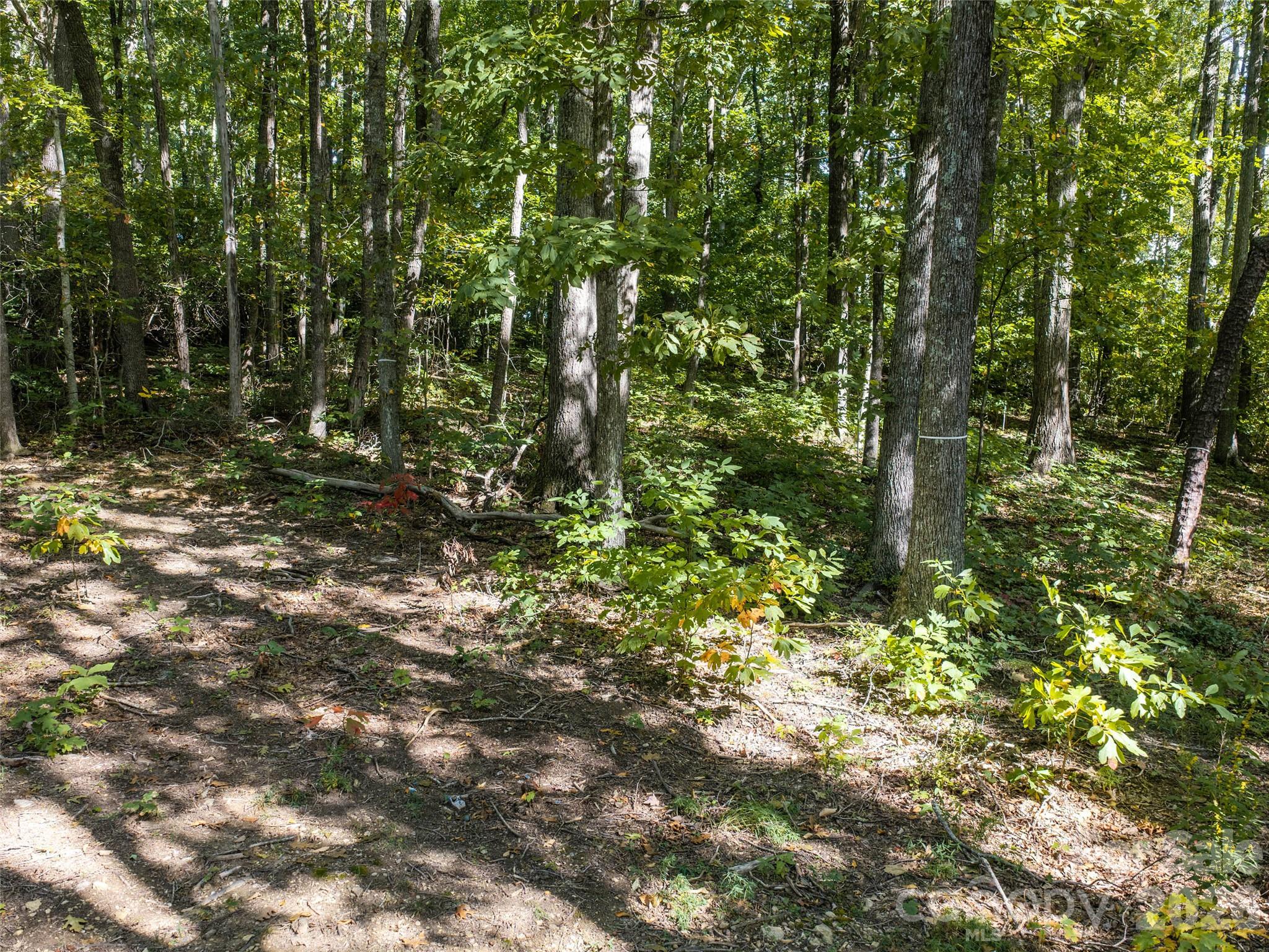 Lot at TBD Orange Plum Lane, Asheville, photo 16 of 25