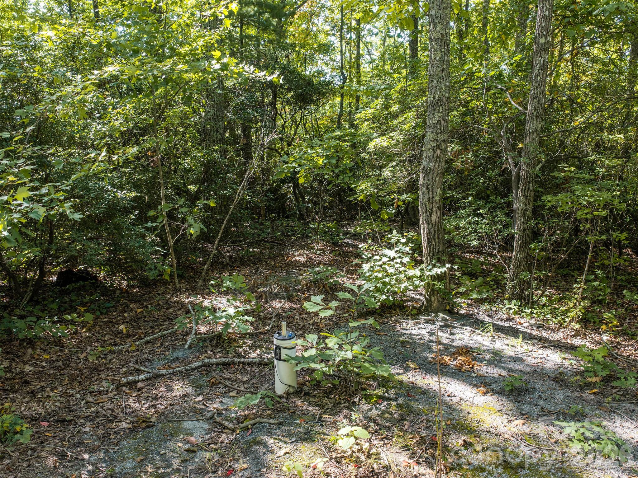 Lot at TBD Orange Plum Lane, Asheville, photo 6 of 25