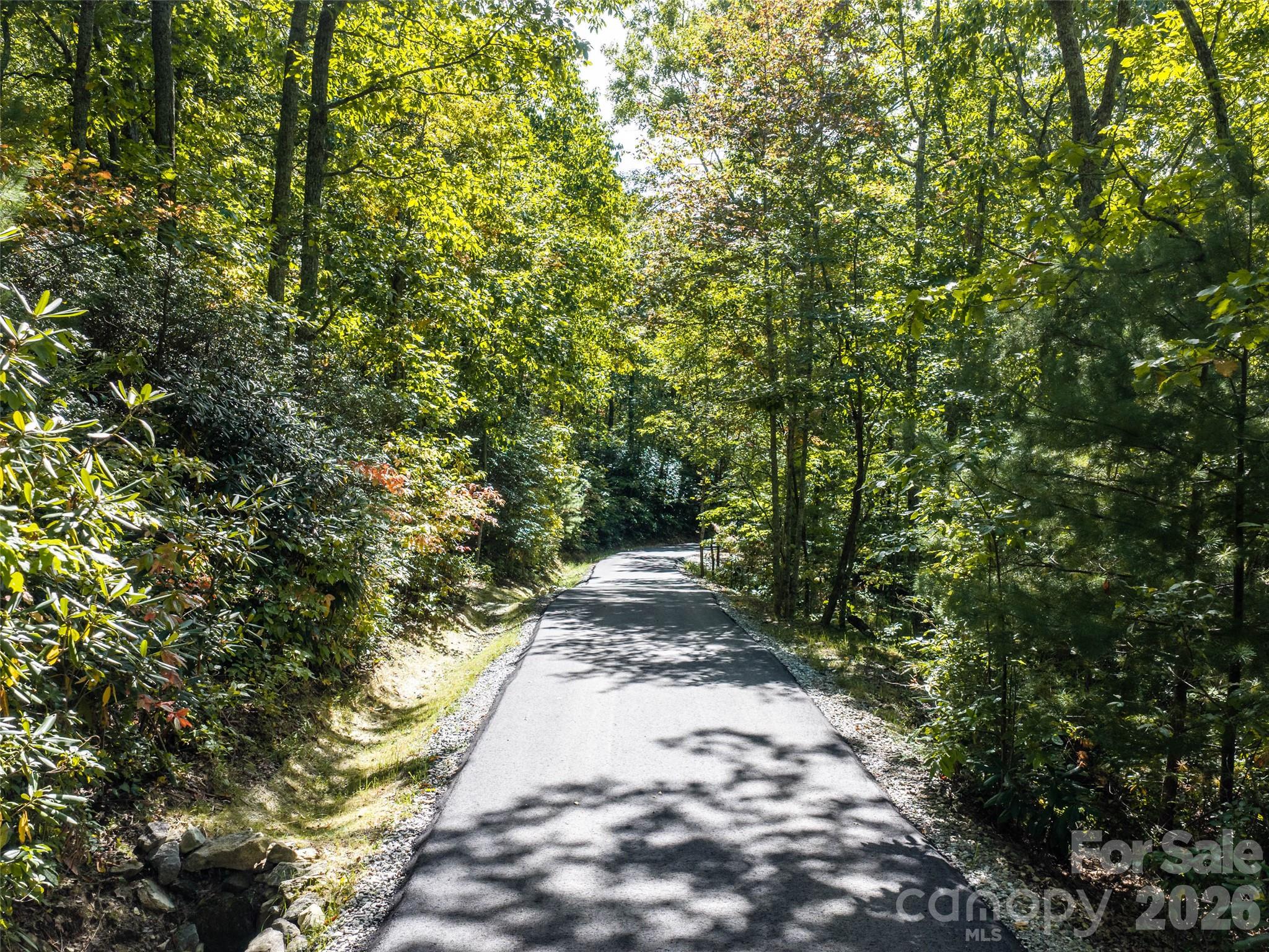 Lot at TBD Orange Plum Lane, Asheville, photo 18 of 25