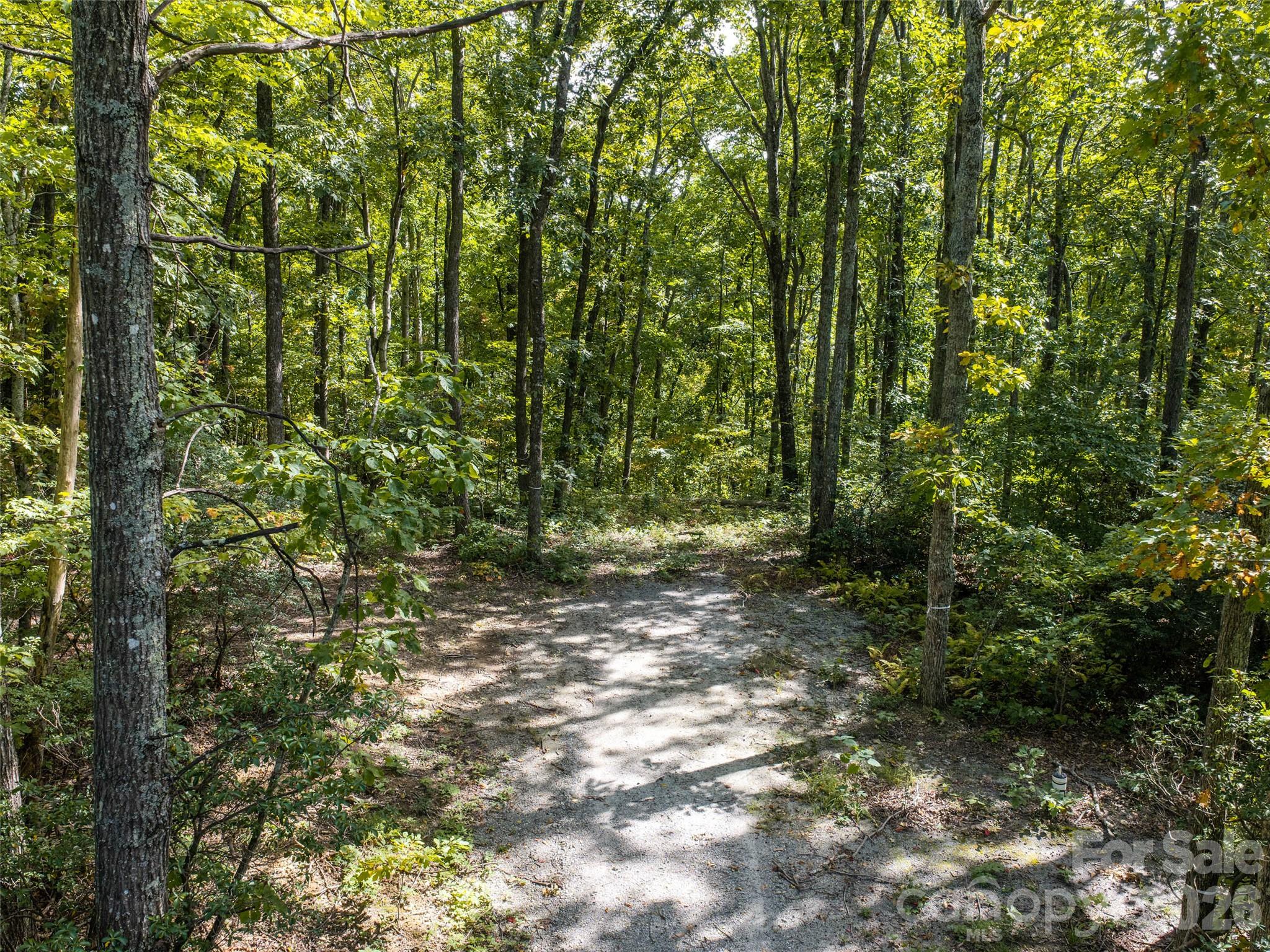 Lot at TBD Orange Plum Lane, Asheville, photo 3 of 25