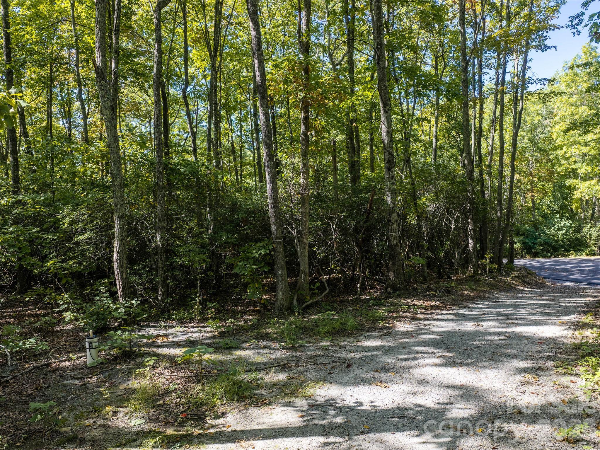 Lot at TBD Orange Plum Lane, Asheville, photo 22 of 25