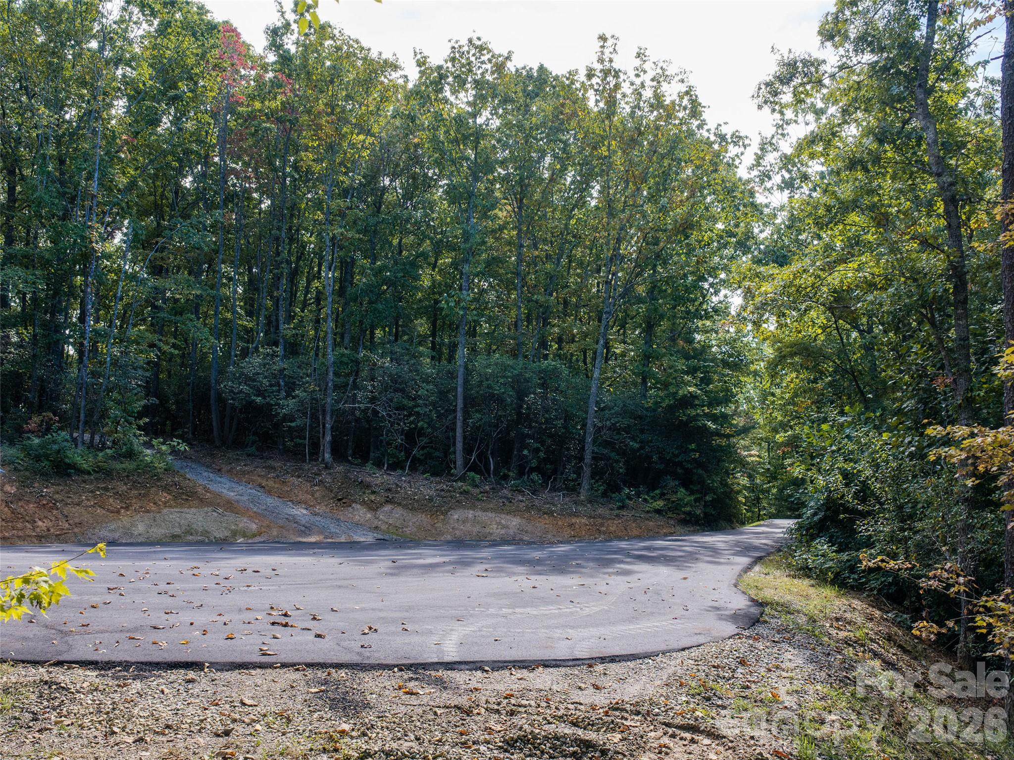 Lot at TBD Orange Plum Lane, Asheville, photo 24 of 25