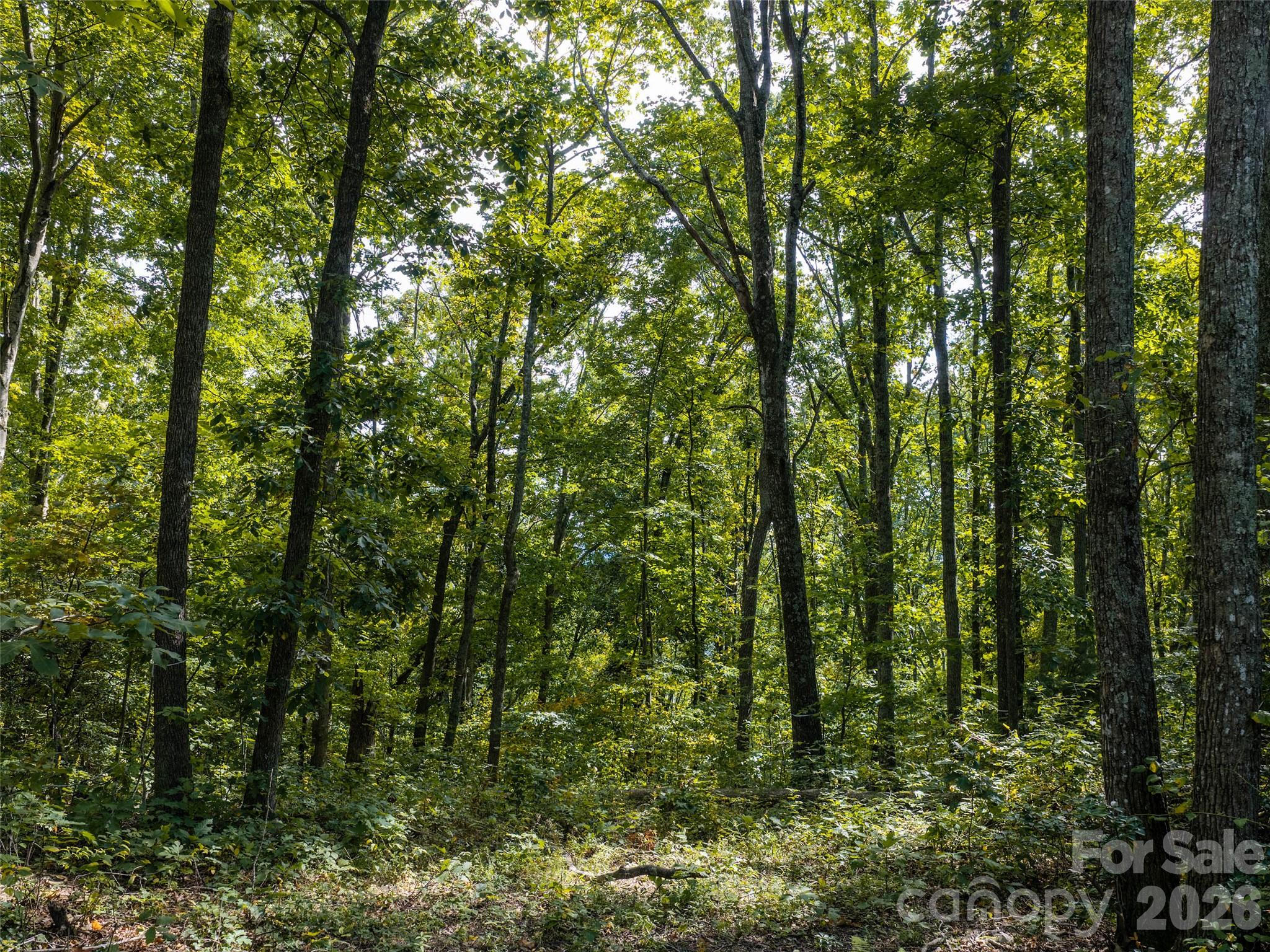 Lot at TBD Orange Plum Lane, Asheville, photo 25 of 25