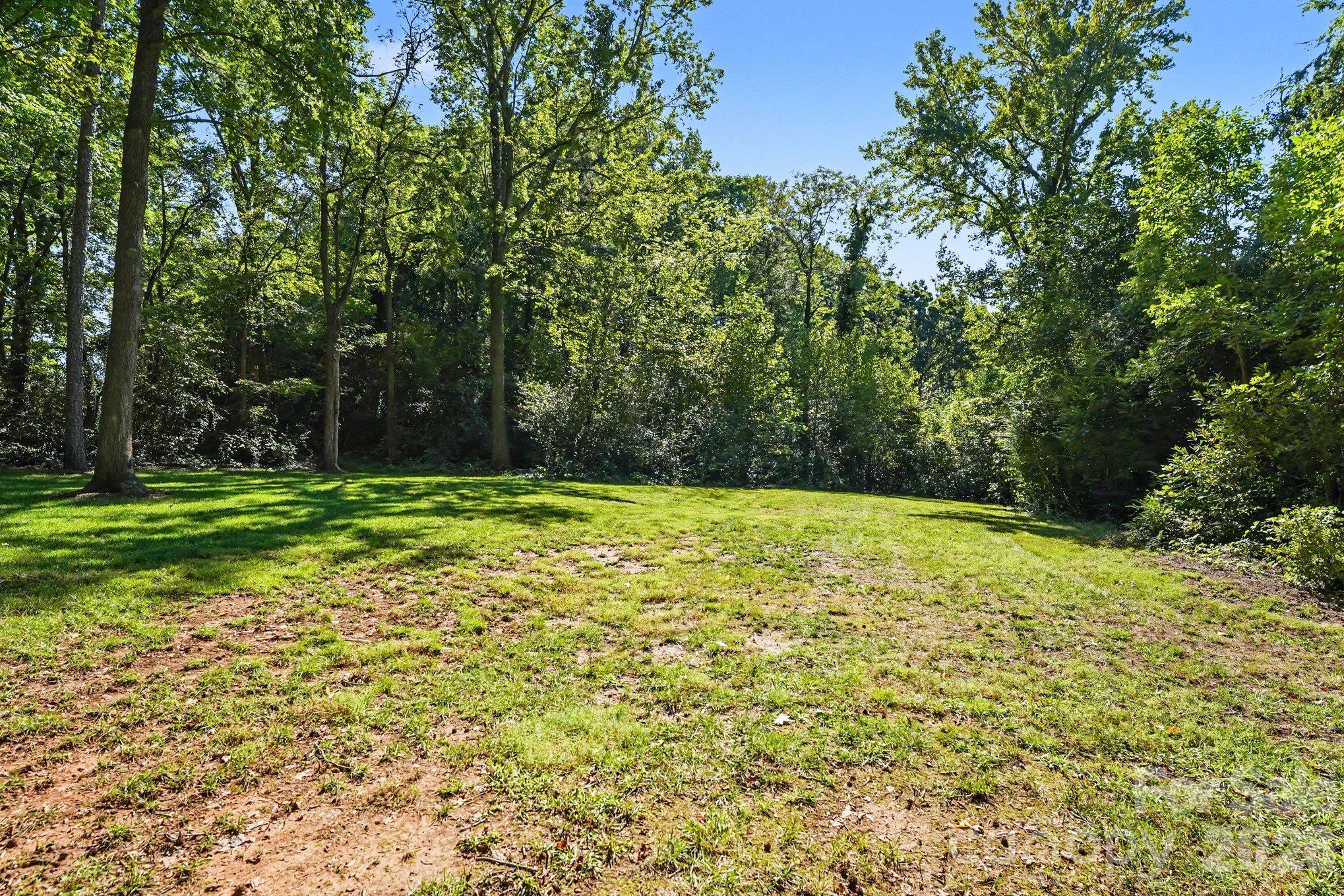 Expansive backyard offers plenty of room for outdoor recreation, gardening, and enjoying the natural surroundings - 607 Anderson Avenue, Salisbury