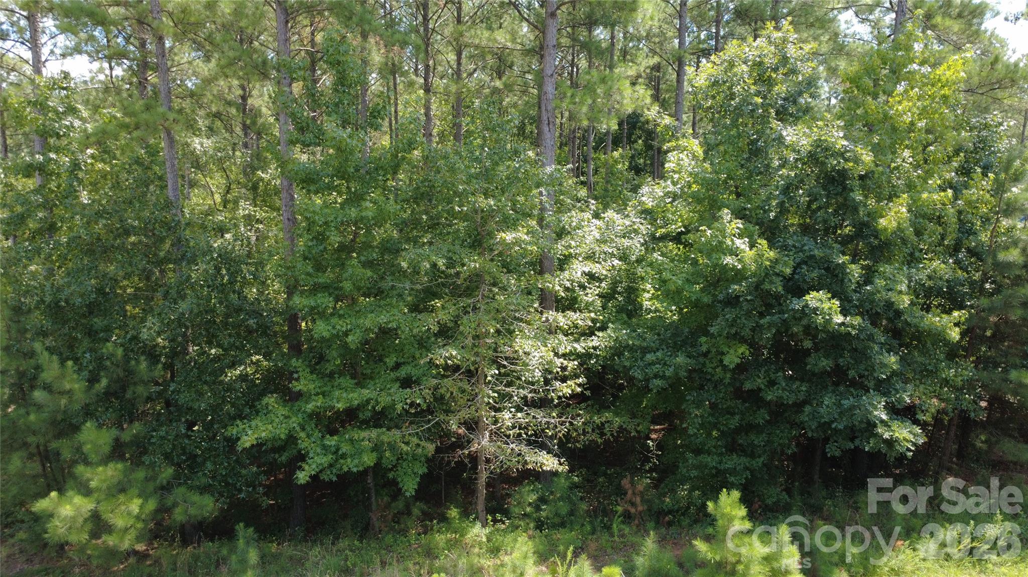 Lot at 4155 Persimmon Road, Lancaster, photo 5 of 12