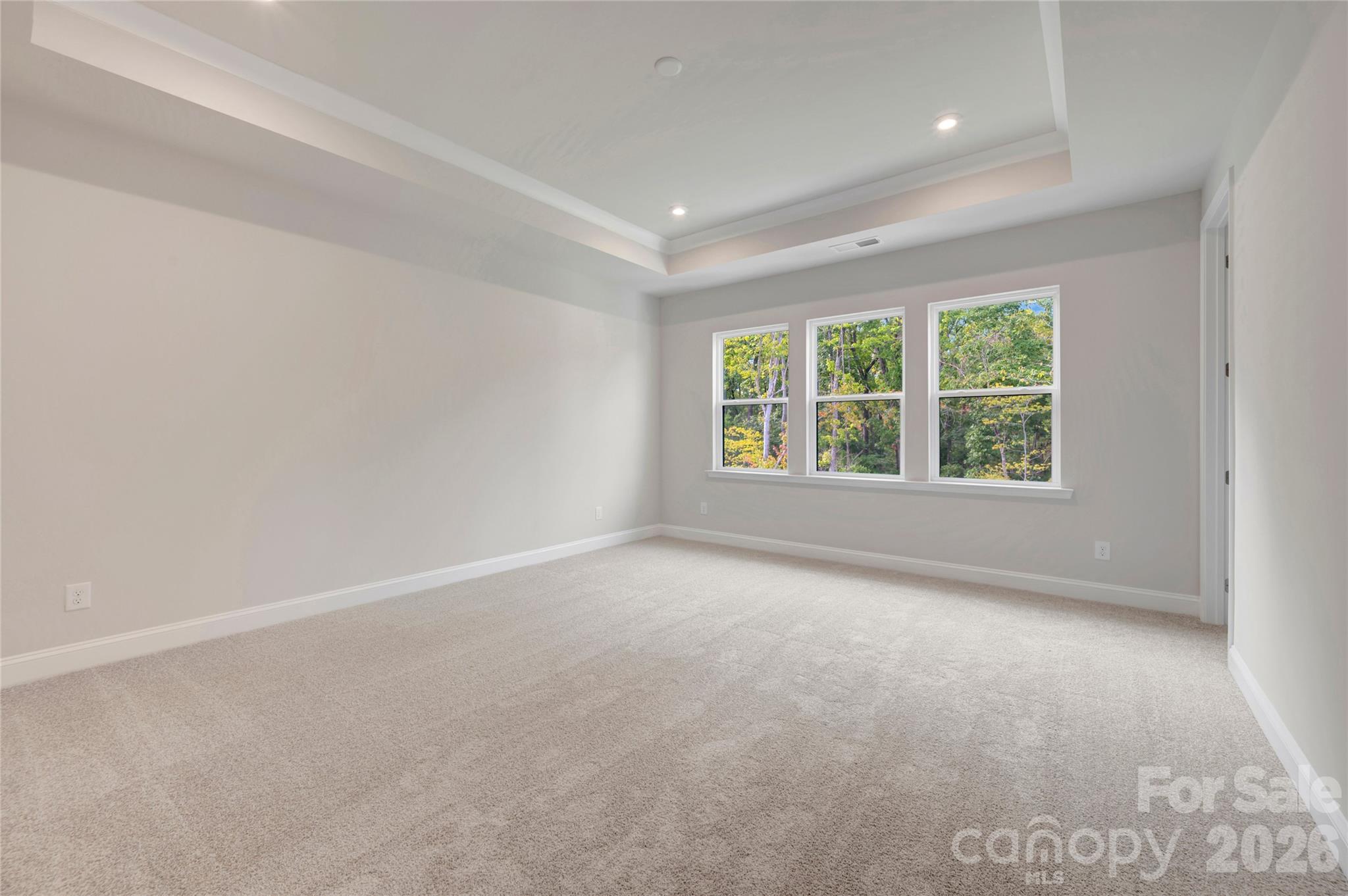 Primary bedroom with tray ceilings - 201 Landy Street, Fort Mill
