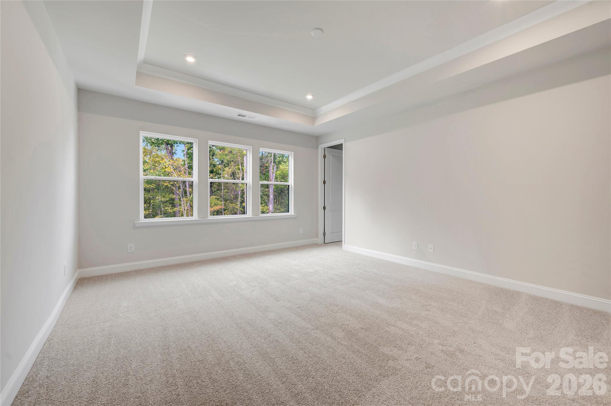 Primary bedroom - 201 Landy Street, Fort Mill
