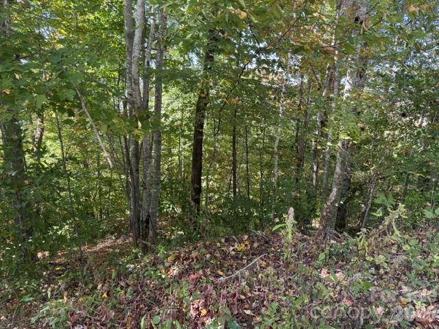 Lot at 50 Scenic Wolf Ridge Road, Mars Hill, photo 2 of 11