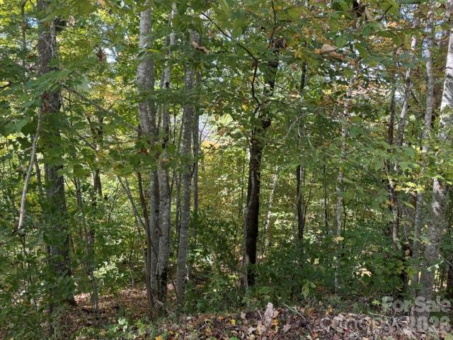 Lot at 50 Scenic Wolf Ridge Road, Mars Hill, photo 4 of 11