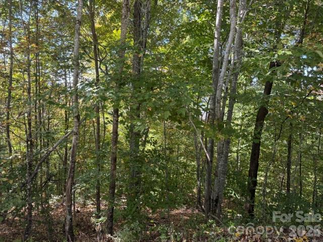 Lot at 50 Scenic Wolf Ridge Road, Mars Hill, photo 5 of 11