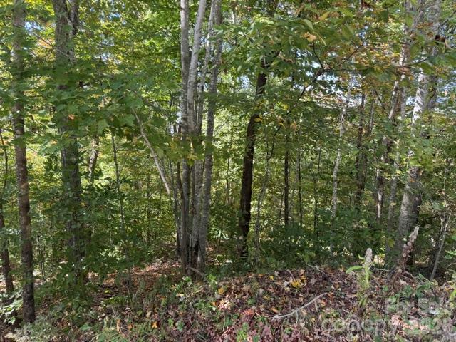 Lot at 50 Scenic Wolf Ridge Road, Mars Hill, photo 6 of 11