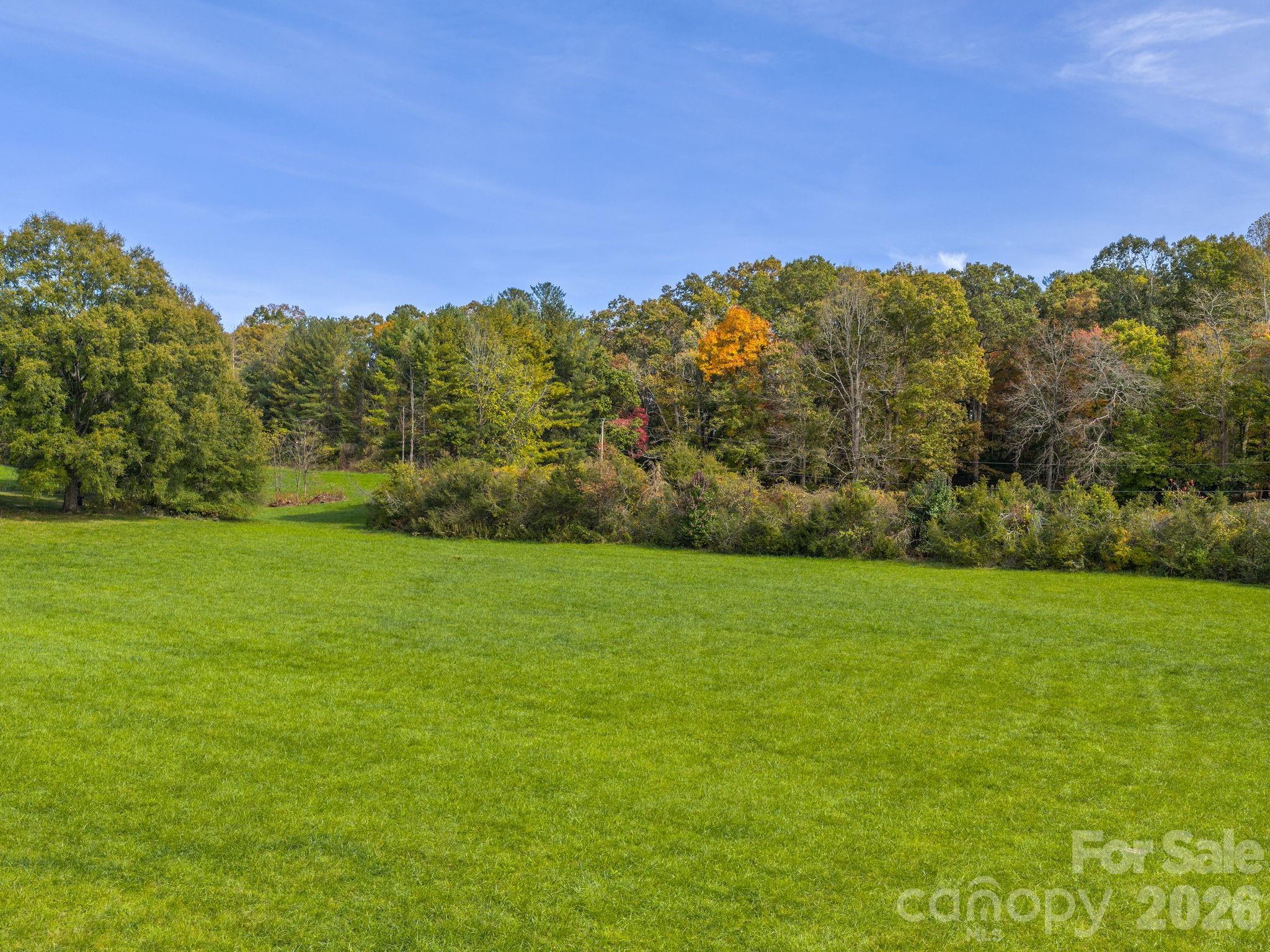 Property photo - 5620 Old Haywood Road, Mills River