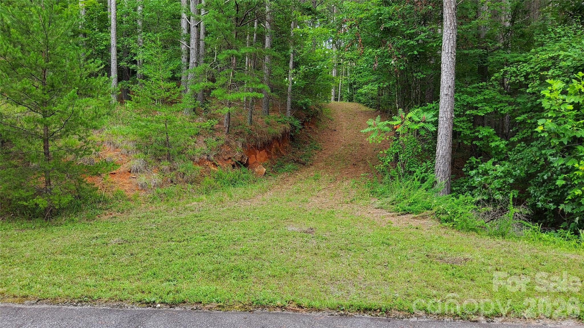 DRIVEWAY IN PLACE - 0 Sunset Drive, Mill Spring