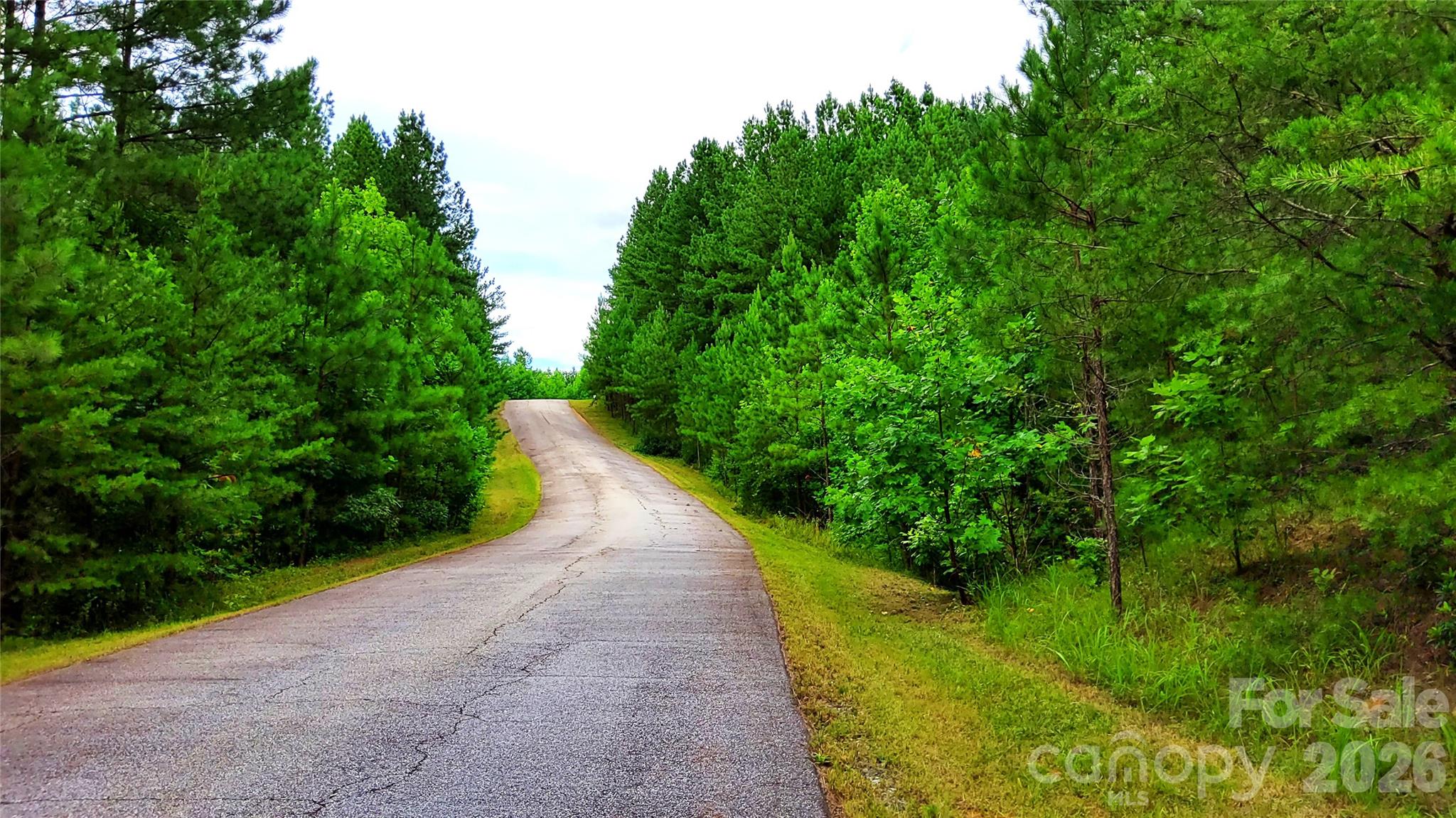 STREET VIEW - 0 Sunset Drive, Mill Spring