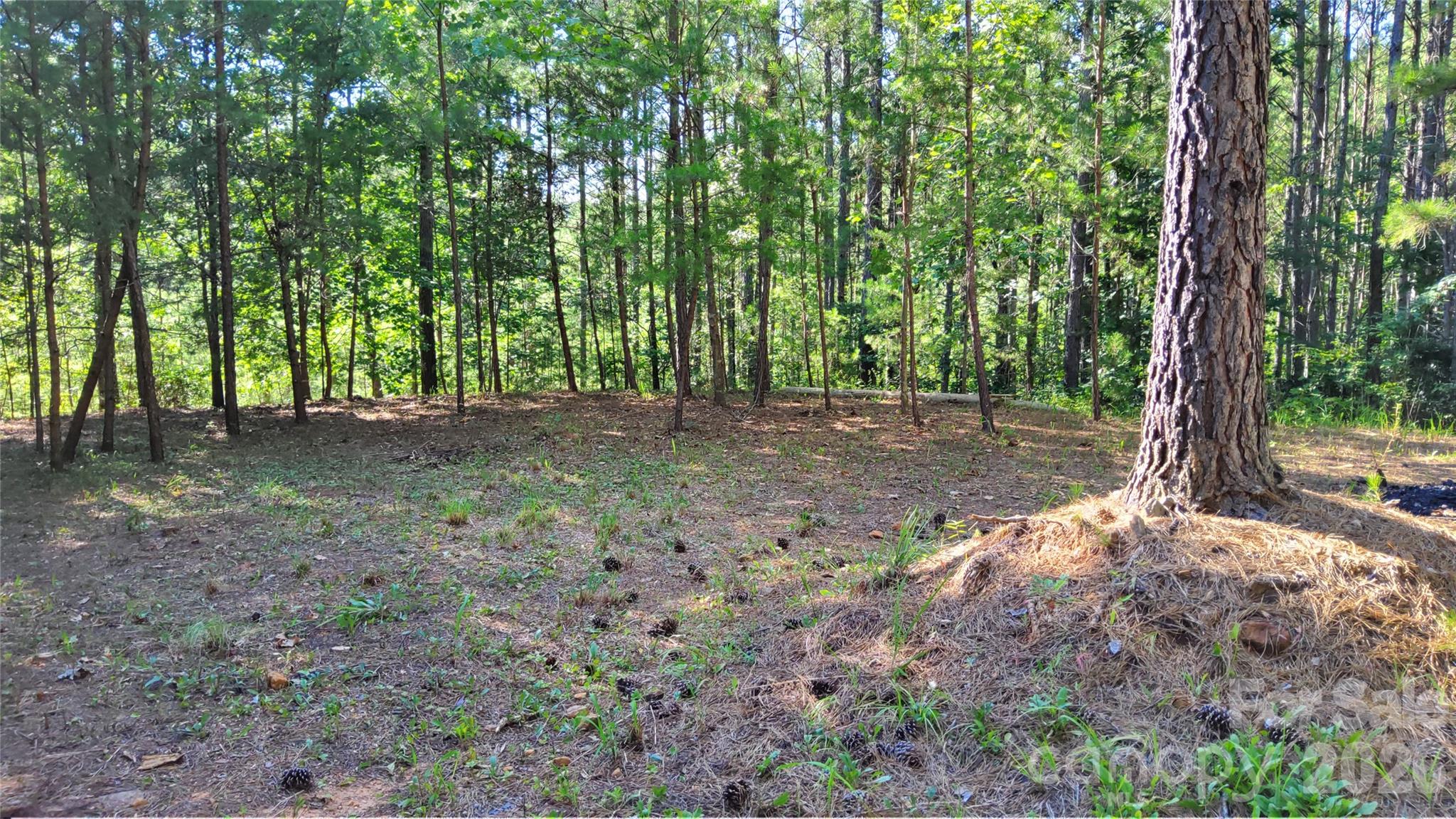 TOP OF DRIVEWAY - 0 Sunset Drive, Mill Spring