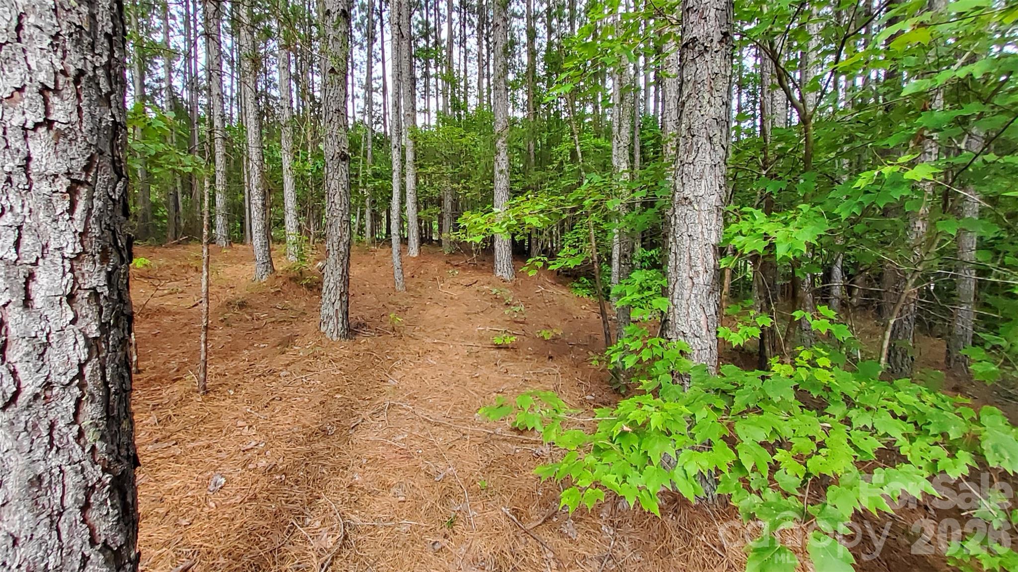 WOODED LOT - 0 Sunset Drive, Mill Spring