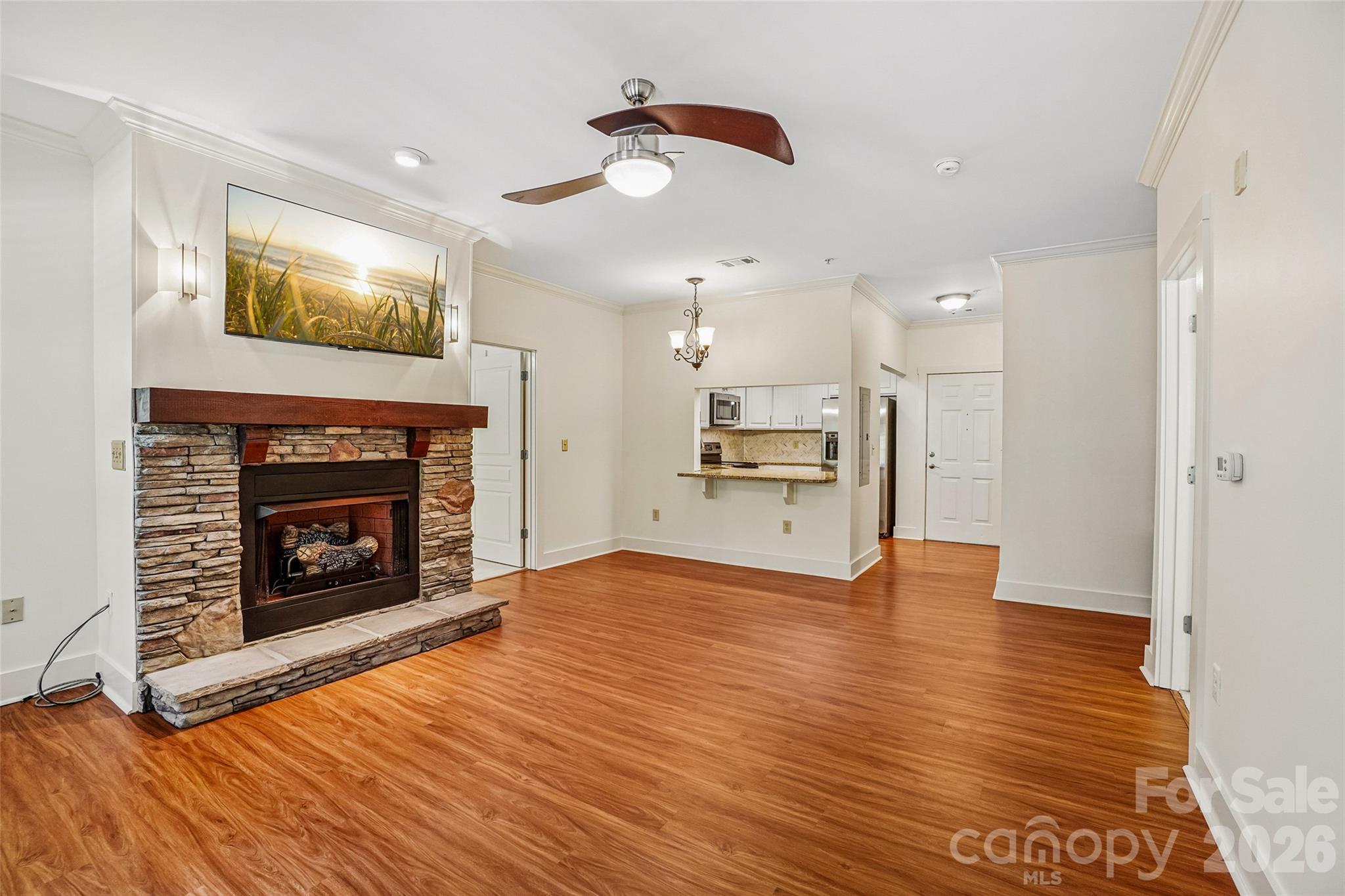 Mounted TV in living room conveys - 9 Kenilworth Knolls, Asheville